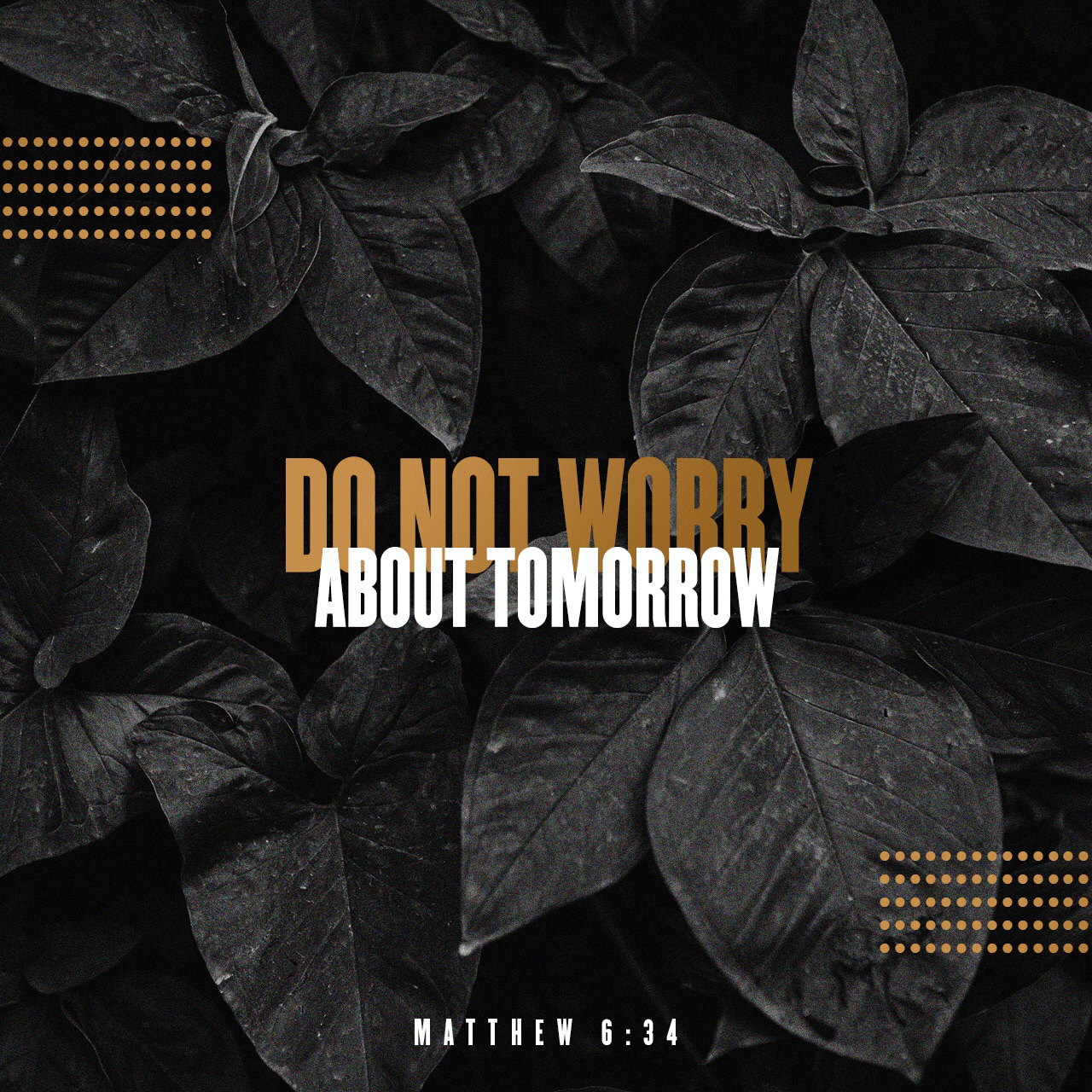 VOTD September 23 - So do not worry about tomorrow; for tomorrow will care for itself. Each day has enough trouble of its own. Matthew‬ ‭6:34‬ ‭NASB