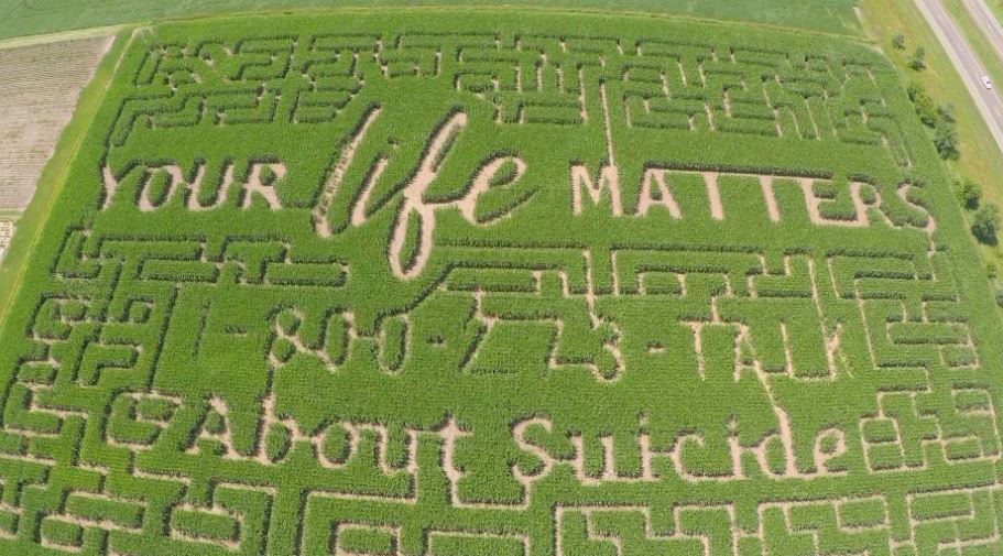 Suicide Hotline into Corn Maze - A Wisconsin farmer decided to put the suicide hotline into his corn maze as well as Your Life Matters on the the corn maze. Govin's Farm in Menomonie, WI has an 11-acre maze (that is about the size of 14 football fields). On the corn maze it says "Your life matters" and has the number for the National Suicide Prevention Lifeline: 1-800-273-TALK (8255). 