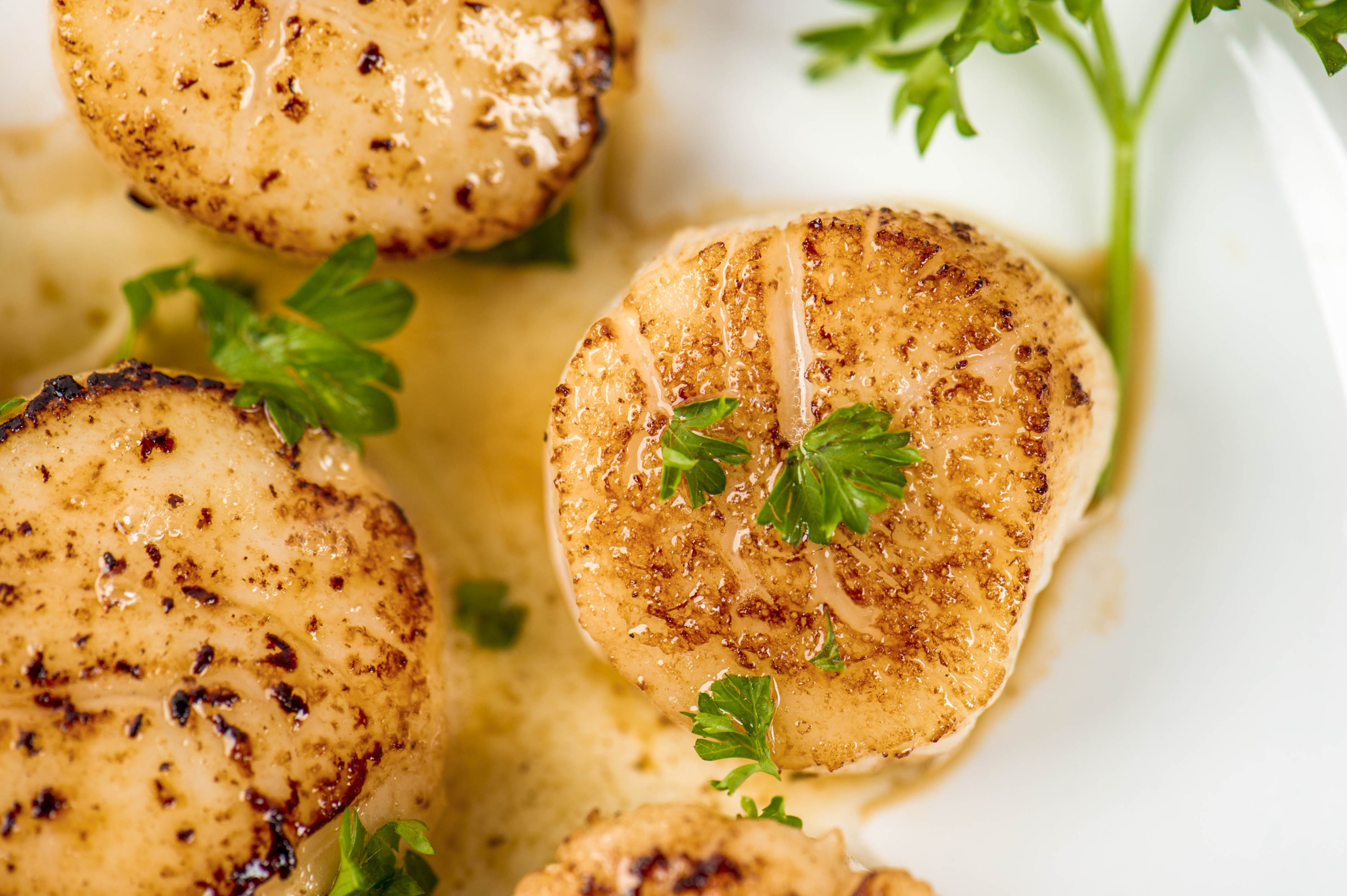 National Fried Scallops Day - Foodie Holiday to honor the seafood dish of scallops. #Scallops #FriedScallopsDay