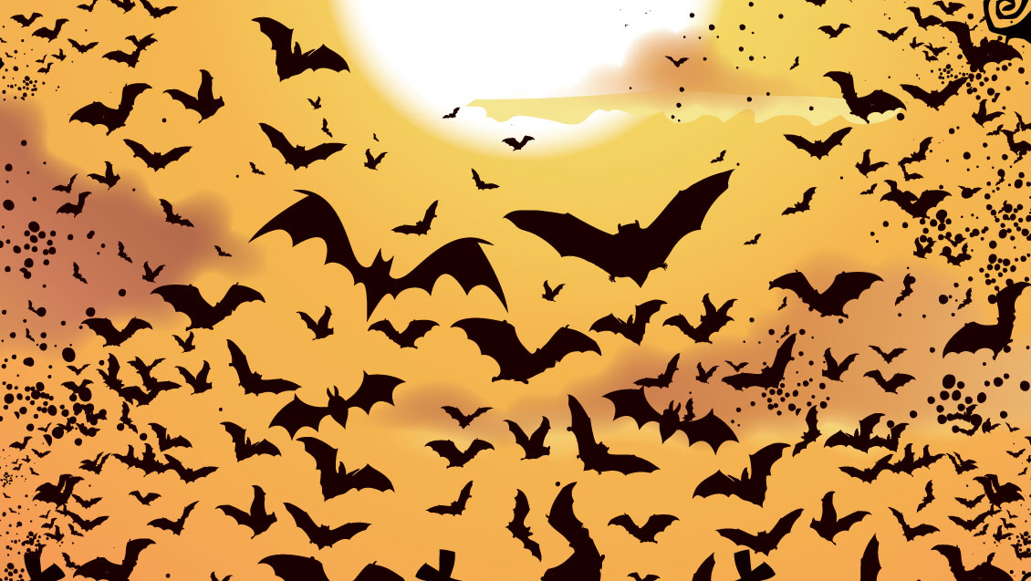 Bat facts - Literature and Hollywood have done much to villainize bats, which many people perceive to be dangerous, blood-sucking creatures that prey on unsuspecting victims. However, bats are far less menacing than that. #Bats