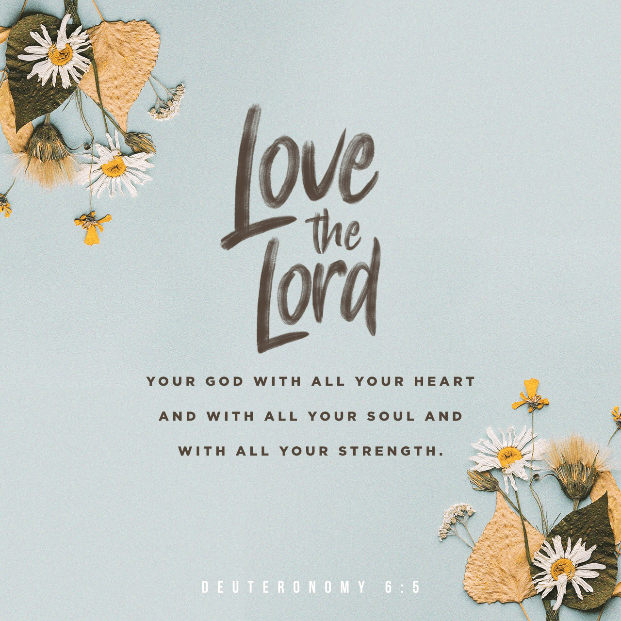 VOTD October 8 - “You shall love the LORD your God with all your heart and with all your soul and with all your might.”  ‭‭Deuteronomy‬ ‭6:5‬ ‭NASB‬‬ 