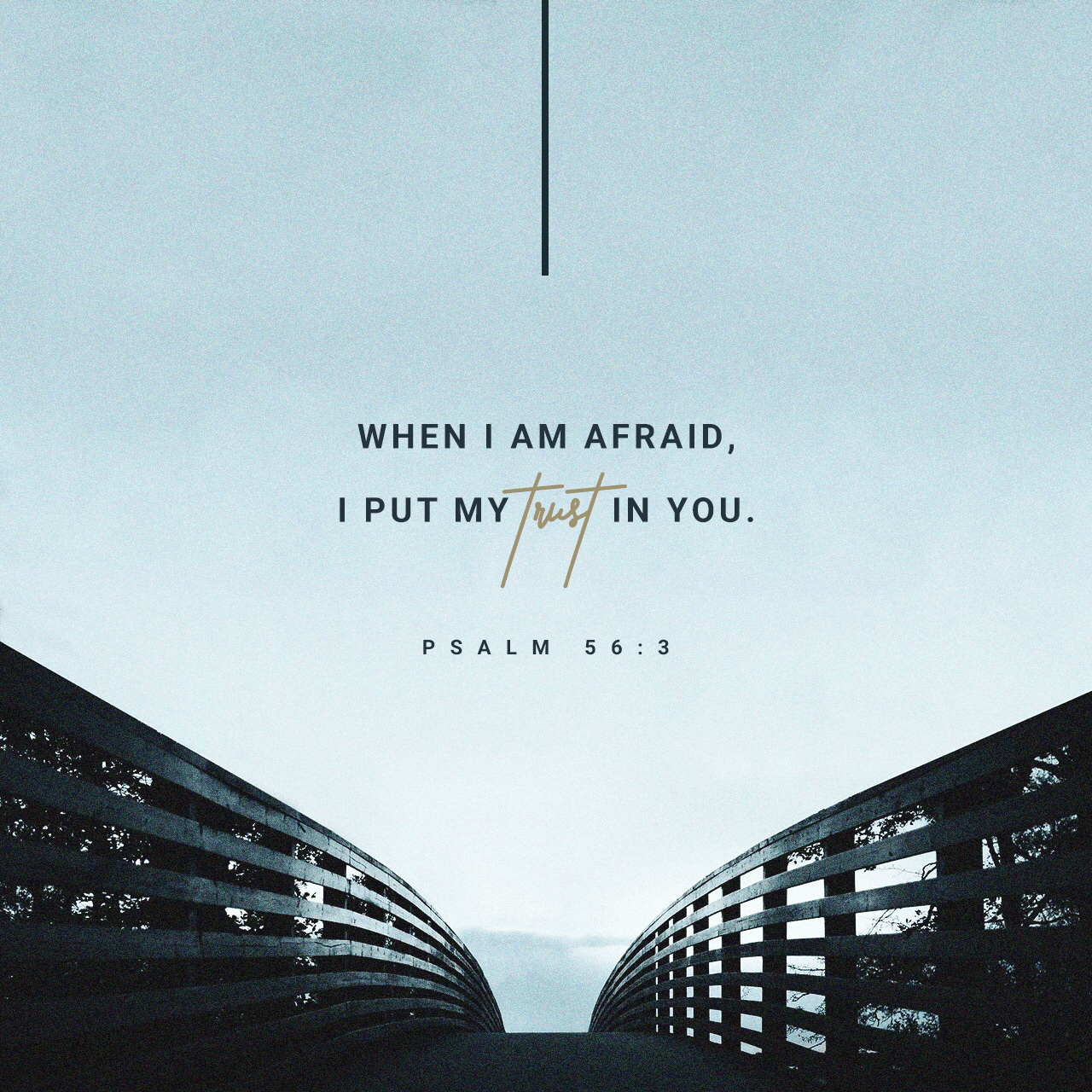 VOTD October 12 “When I am afraid, I will put my trust in You.” Psalms‬ ‭56:3‬ ‭NASB‬‬