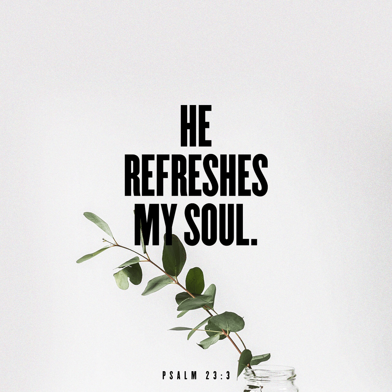 VOTD October 23 - “He restores my soul; He guides me in the paths of righteousness For His name’s sake.” Psalm 23:3