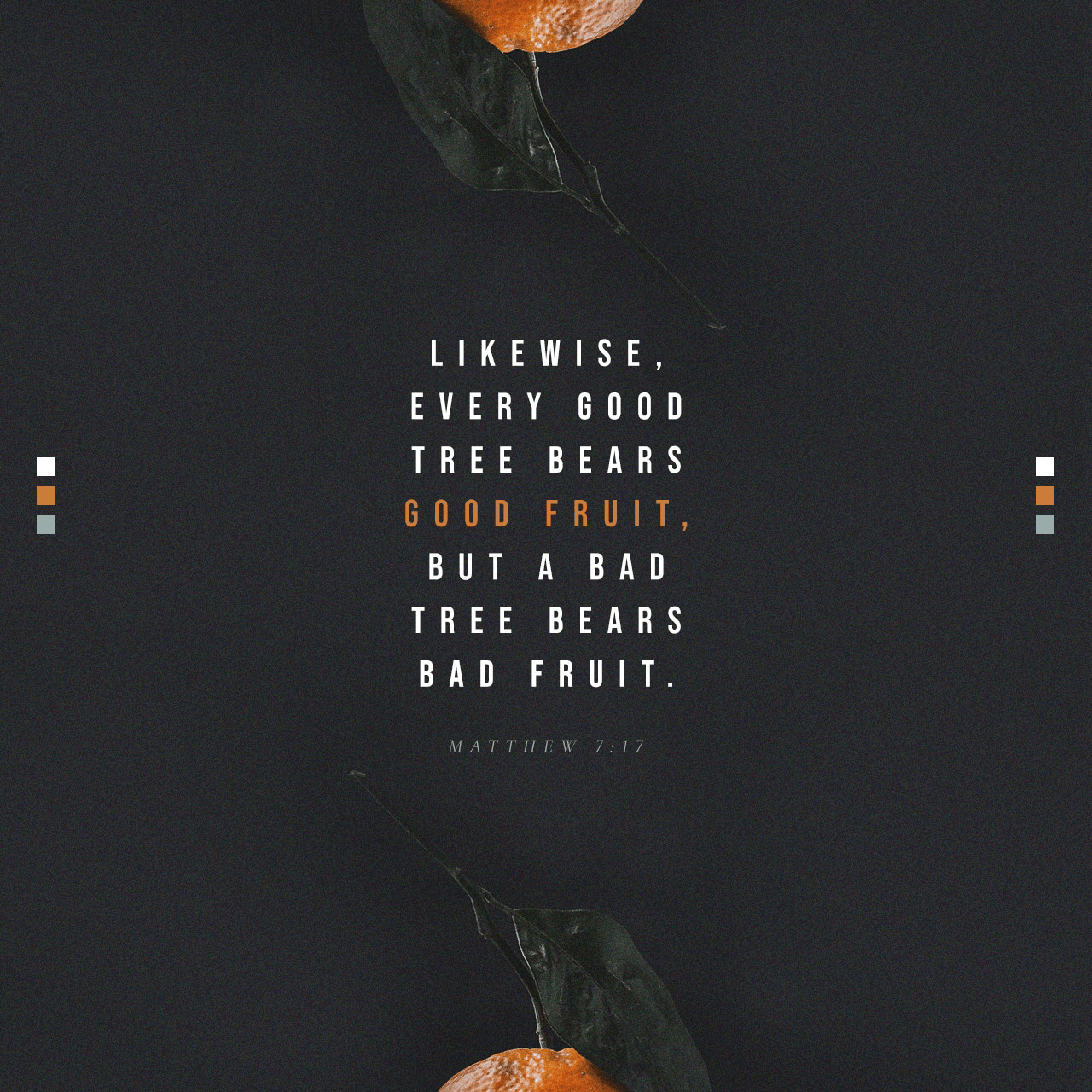 VOTD October 24 - “So every good tree bears good fruit, but the bad tree bears bad fruit. A good tree cannot produce bad fruit, nor can a bad tree produce good fruit. Every tree that does not bear good fruit is cut down and thrown into the fire. So then, you will know them by their fruits.” Matthew 7:17-20 NASB