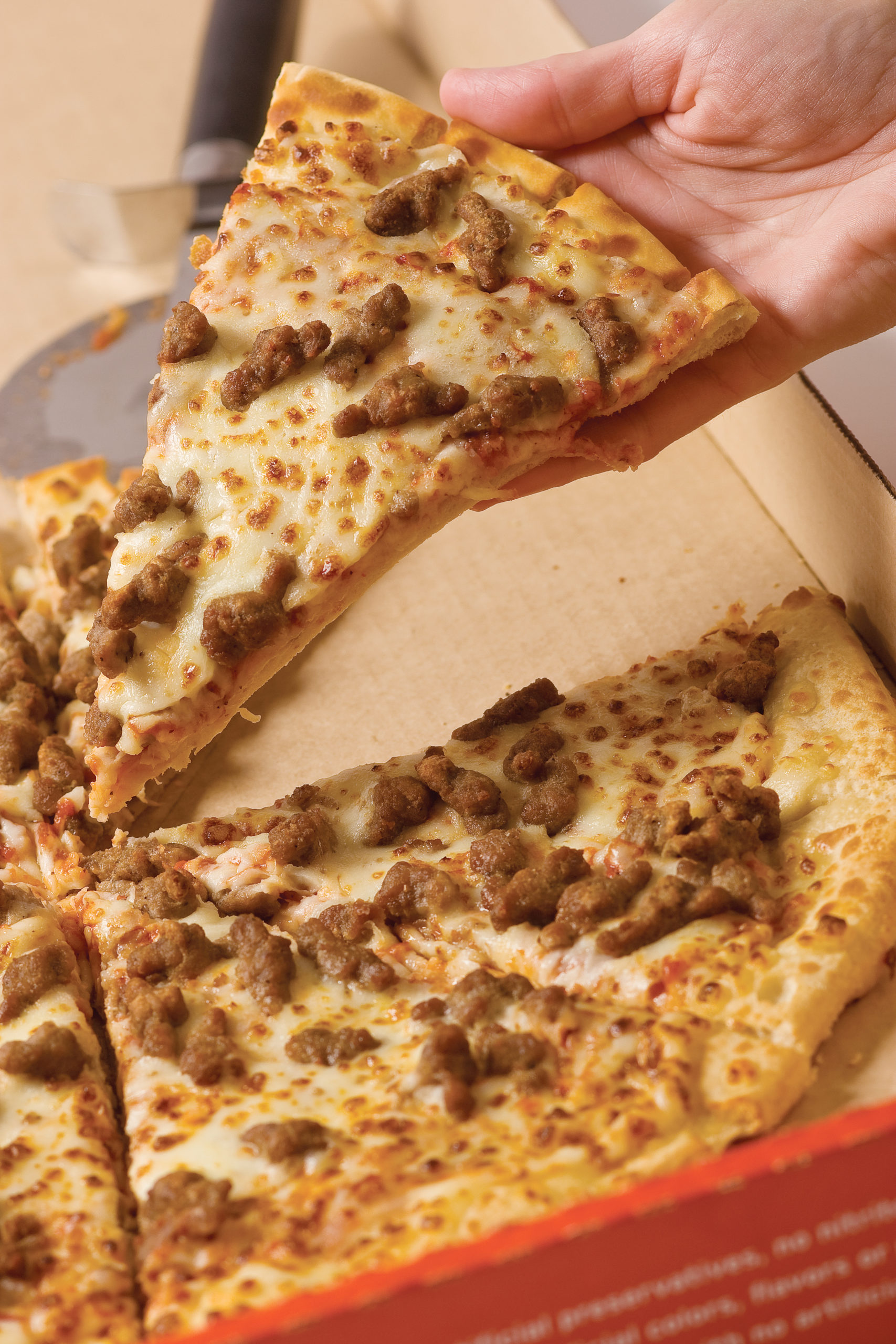 National Sausage Pizza Day - Yes there is a day for you sausage pizza lovers! So you one topping sausage pizza lovers, this day is for you. Go out and enjoy a sausage pizza! #SausagePizza #SausagePizzaDay