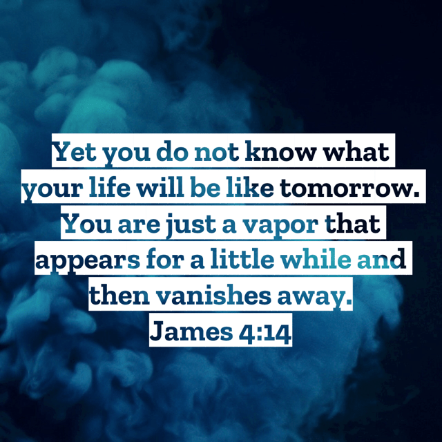 VOTD November 19 - “Yet you do not know what your life will be like tomorrow. You are just a vapor that appears for a little while and then vanishes away.” James 4:14 NASB