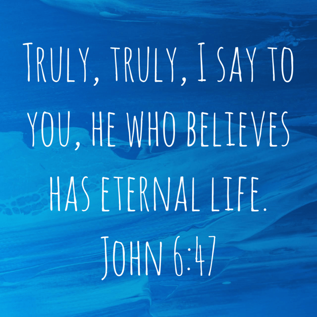 VOTD November 23 - “Truly, truly, I say to you, he who believes has eternal life.” John 6:47 NASB