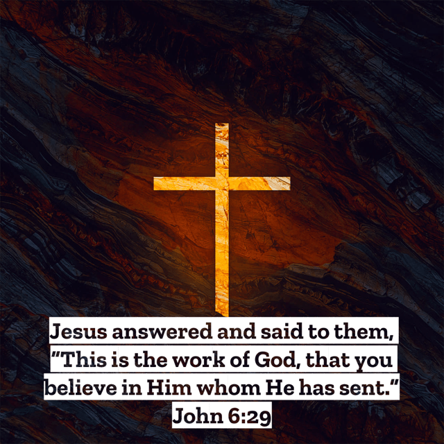VOTD December 19 - “Jesus answered and said to them, “This is the work of God, that you believe in Him whom He has sent.”” ‭‭John‬ ‭6:29‬ ‭NASB‬‬