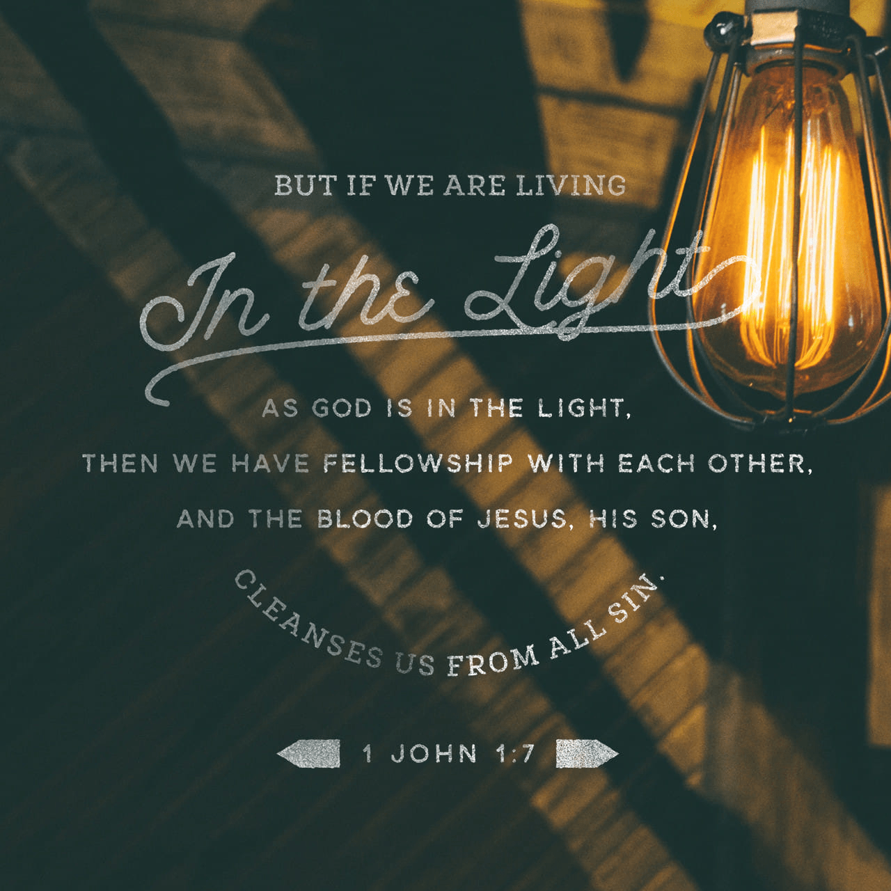 VOTD December 26 - “But if we walk in the Light as He Himself is in the Light, we have fellowship with one another, and the blood of Jesus His Son cleanses us from all sin.” ‭‭1 John‬ ‭1:7‬ ‭NASB‬‬