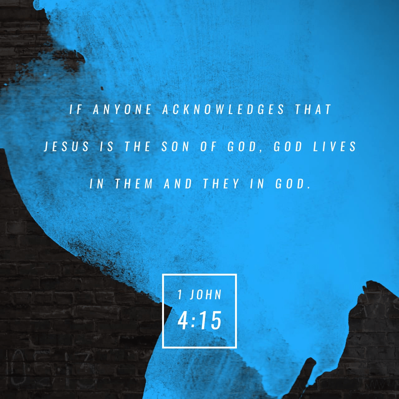 VOTD January 6 - “Whoever confesses that Jesus is the Son of God, God abides in him, and he in God.” ‭‭1 John‬ ‭4:15‬ ‭NASB‬‬