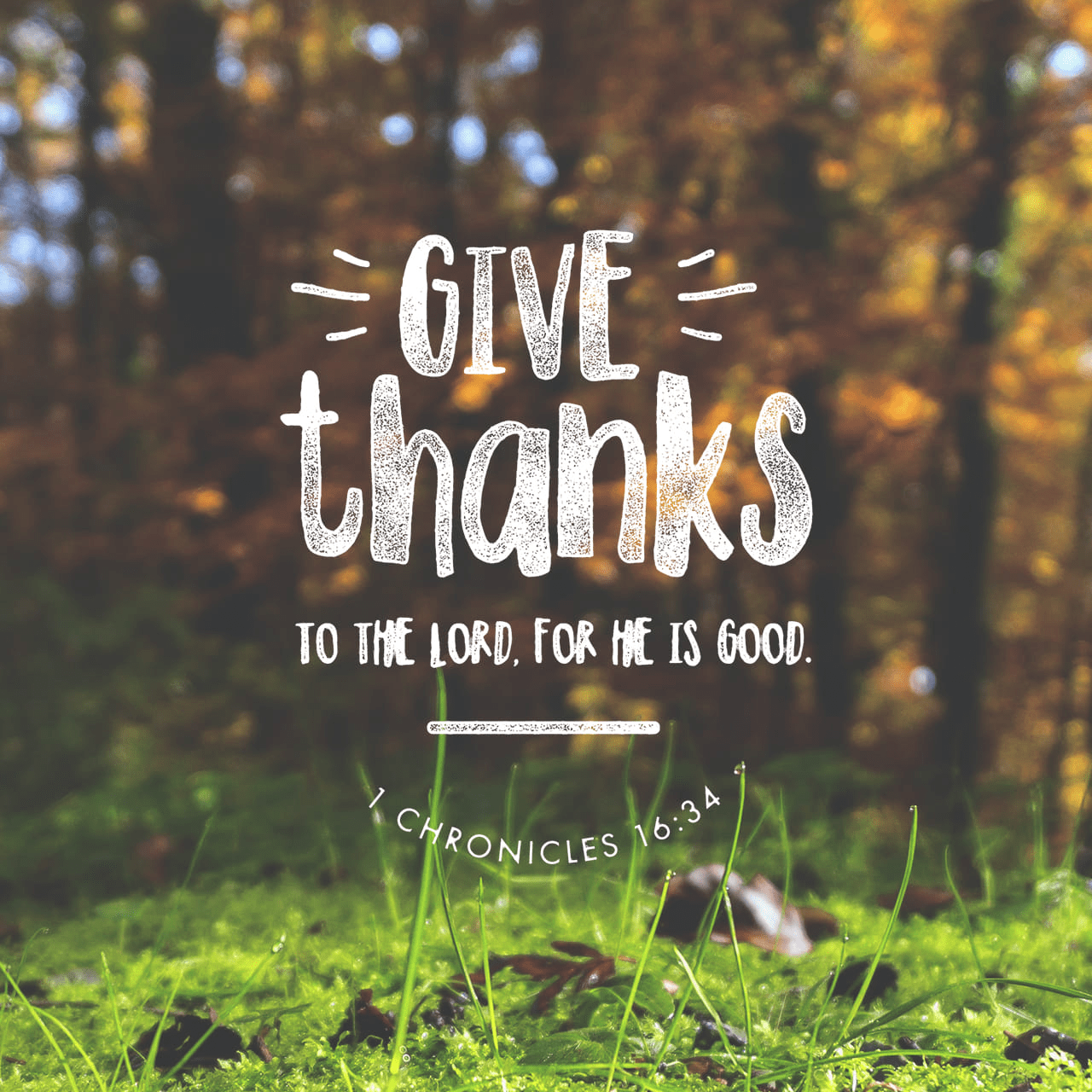 Give Thanks Bible Verse  “O give thanks to the LORD, for He is good; For His lovingkindness is everlasting.”  ‭‭1 Chronicles‬ ‭16:34‬ ‭NASB‬‬