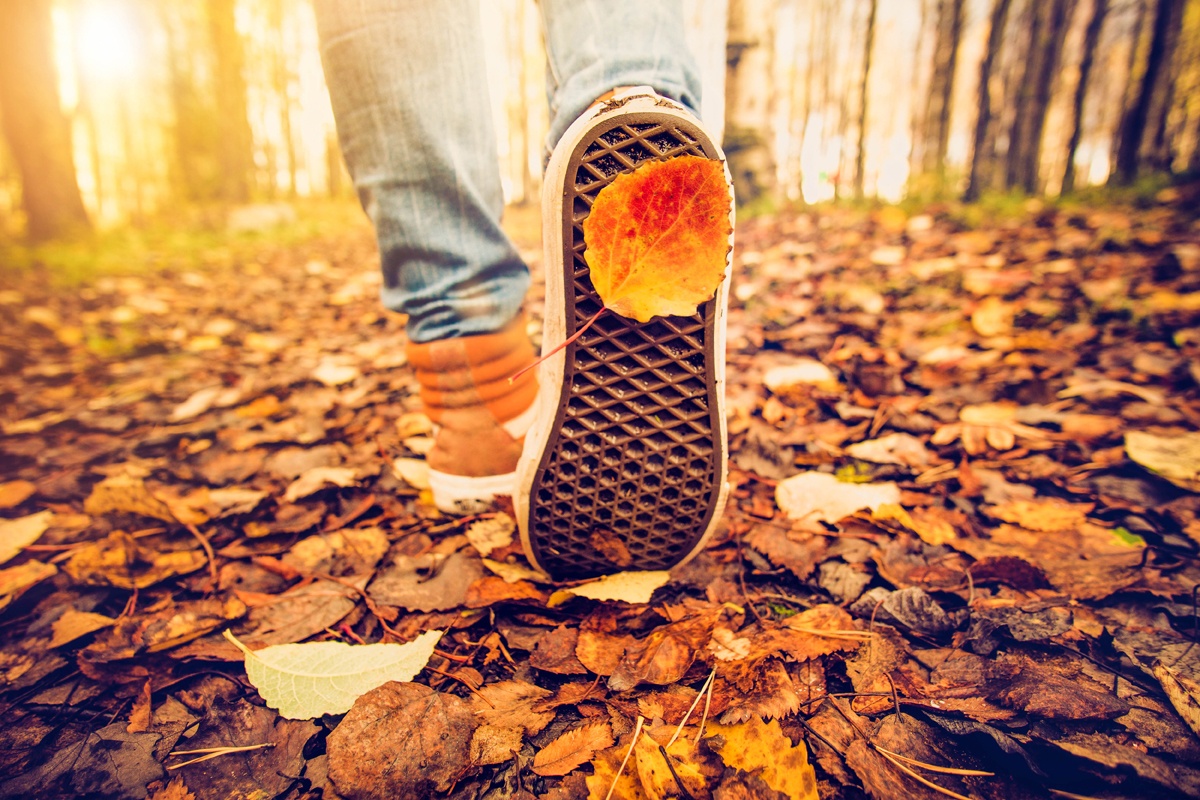 It's okay if walkers miss the 10,000-step standard - The 10,000-step standard - which equates to roughly five miles, depending on a person's stride length and speed - has some surprising origins that are not necessarily rooted in medical science.