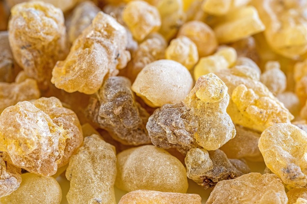 Frankincense was one of the three gifts given to Jesus by the Wise Men according to Matthew. So what exactly is #Frankincense? 