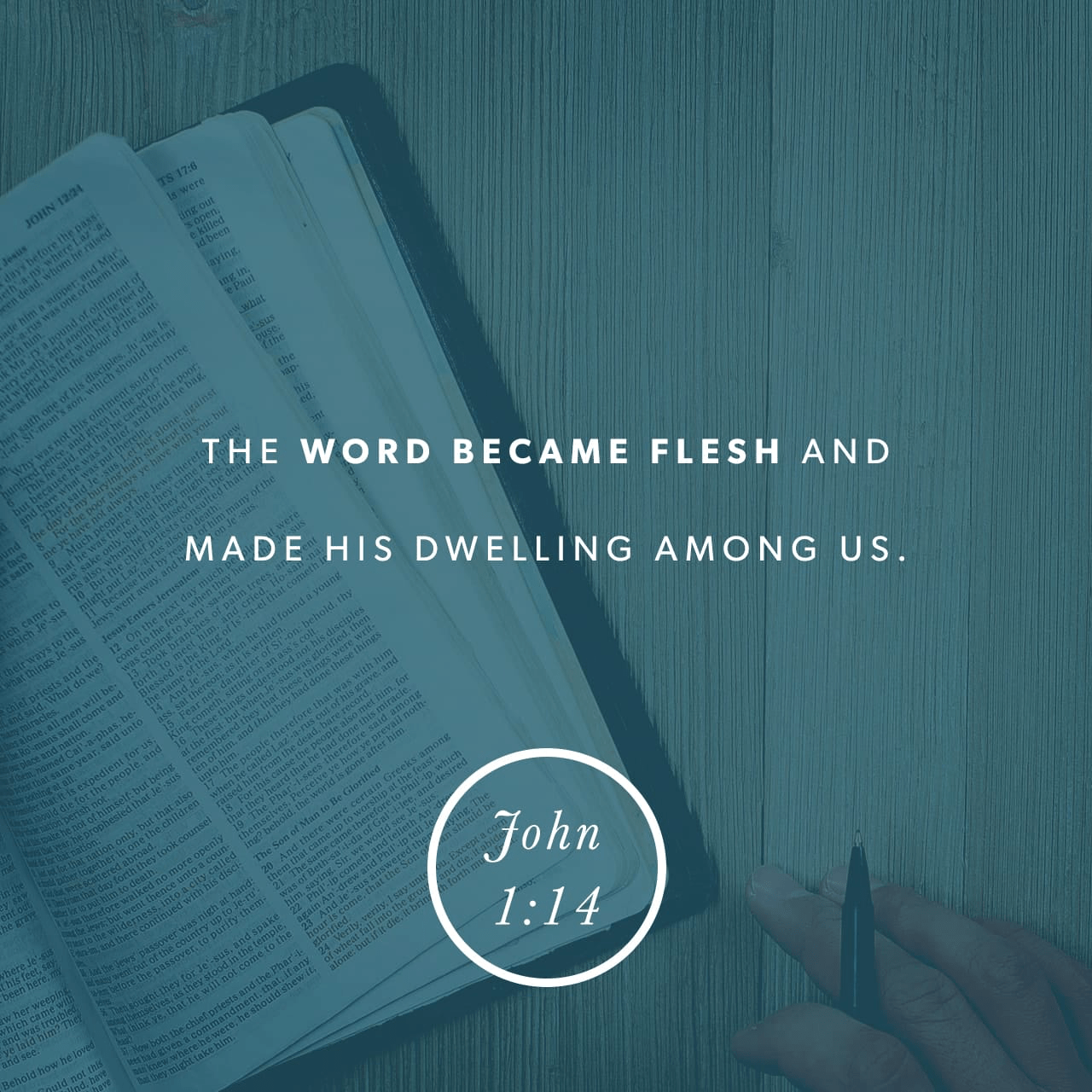 VOTD January 18 - “And the Word became flesh, and dwelt among us, and we saw His glory, glory as of the only begotten from the Father, full of grace and truth.” ‭‭John‬ ‭1:14‬ ‭NASB‬‬