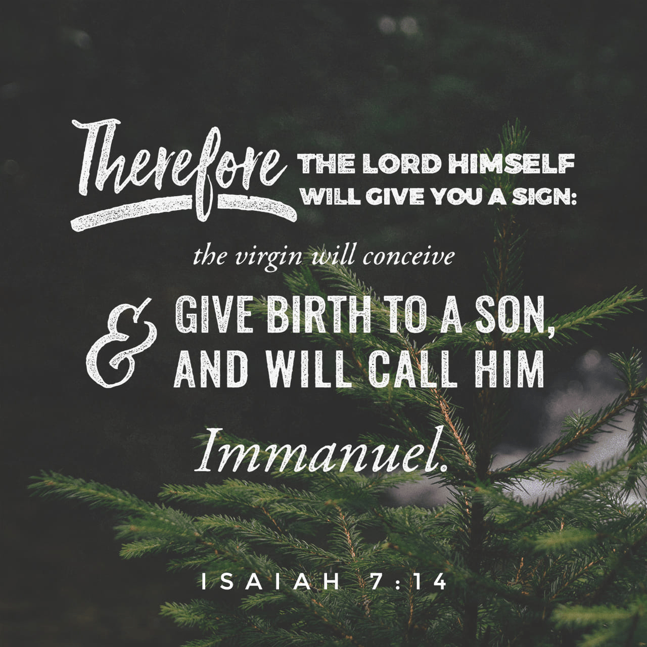 “Therefore the Lord Himself will give you a sign: Behold, a virgin will be with child and bear a son, and she will call His name Immanuel.” ‭‭Isaiah‬ ‭7:14‬ ‭NASB‬‬ 