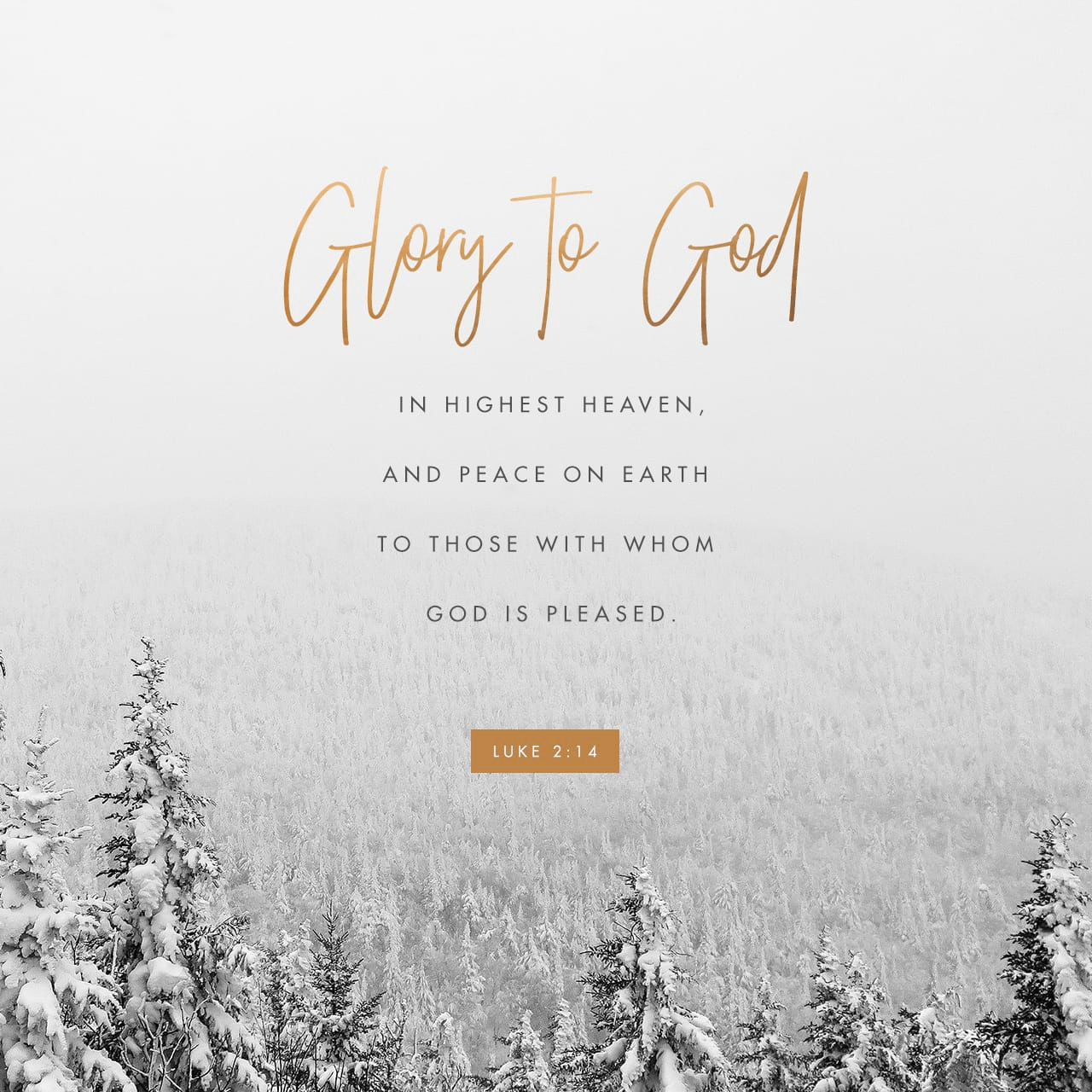 “Glory to God in the highest, And on earth peace among men with whom He is pleased.”‭‭Luke‬ ‭2:14‬ ‭NASB‬‬