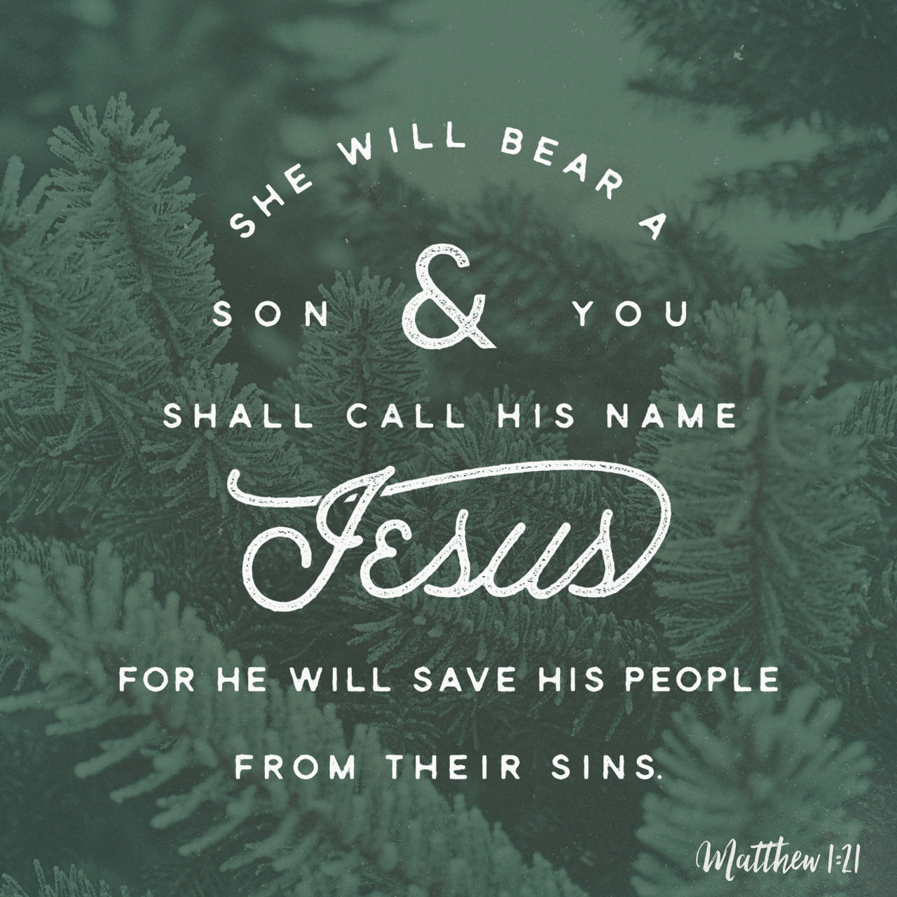 “She will bear a Son; and you shall call His name Jesus, for He will save His people from their sins.””
‭‭Matthew‬ ‭1:21‬ ‭NASB‬‬