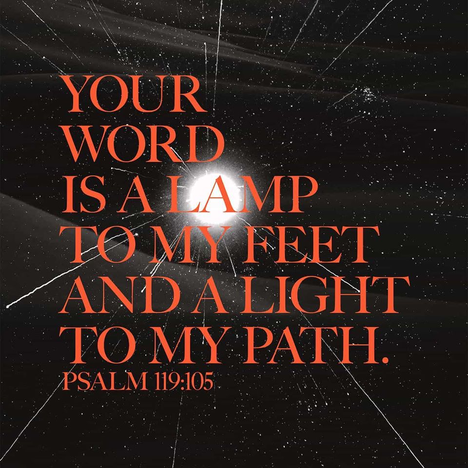 VOTD - February 8 - Your word is a lamp to my feet And a light to my path. Psalms 119:105