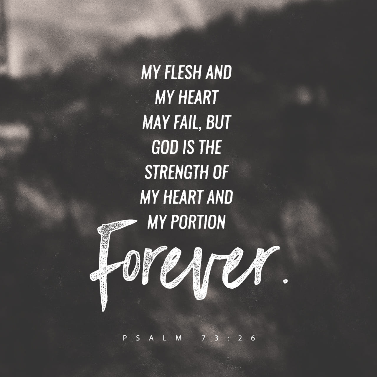 VOTD February 15 - “My flesh and my heart may fail, But God is the strength of my heart and my portion forever.” ‭‭Psalms‬ ‭73:26‬ ‭NASB‬‬