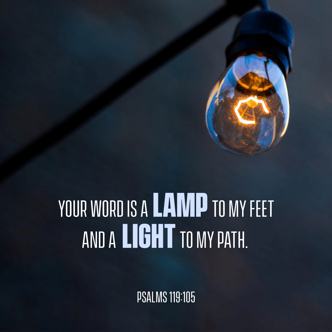VOTD February 16 - “Your word is a lamp to my feet And a light to my path.” ‭‭Psalms‬ ‭119:105‬ ‭NASB‬‬
