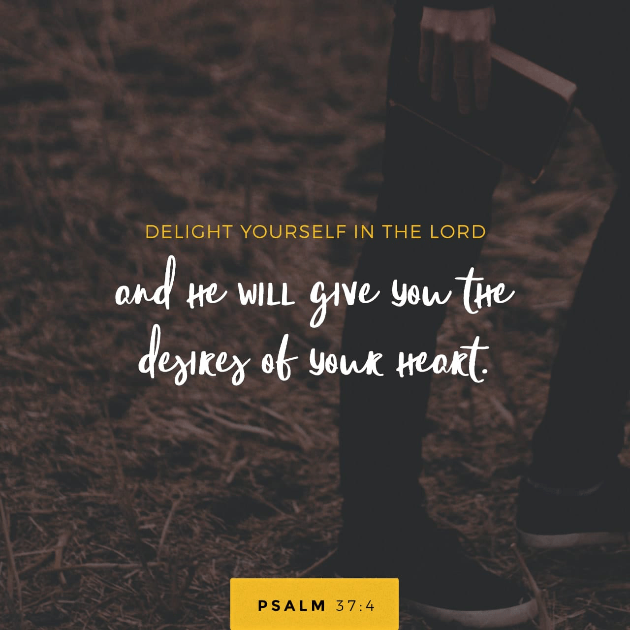 VOTD March 11 - “Delight yourself in the LORD; And He will give you the desires of your heart.” ‭‭Psalms‬ ‭37:4‬ ‭NASB‬‬