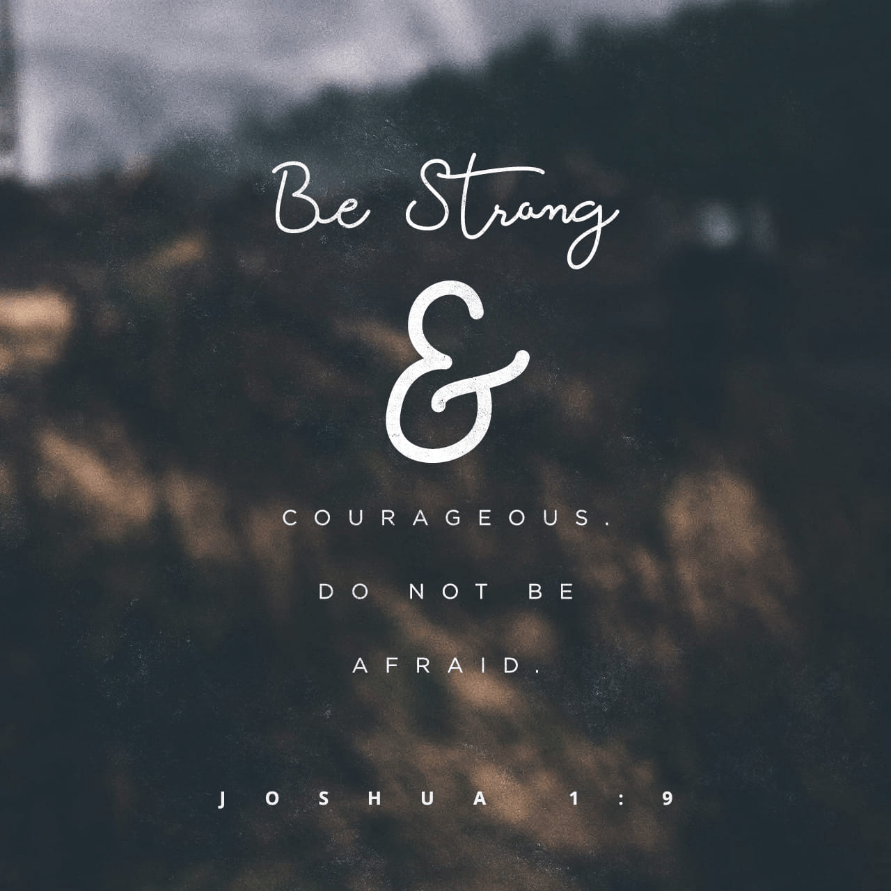 VOTD March 28 - “Have I not commanded you? Be strong and courageous! Do not tremble or be dismayed, for the LORD your God is with you wherever you go.”” ‭‭Joshua‬ ‭1:9‬ ‭NASB‬‬