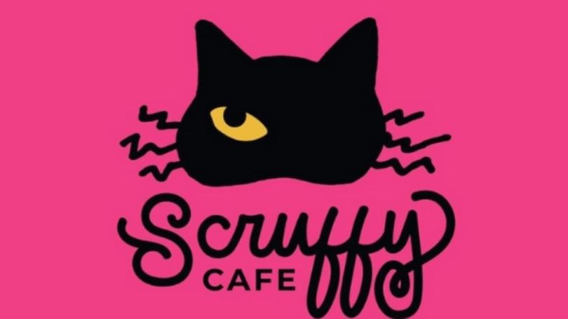 Scruffy Cafe: New cat cafe coming to Knoxville Spring 2020. A place to meet adoptable pets all in a cafe in Knoxville. #ScruffyCafe #CatCafe #Knoxville