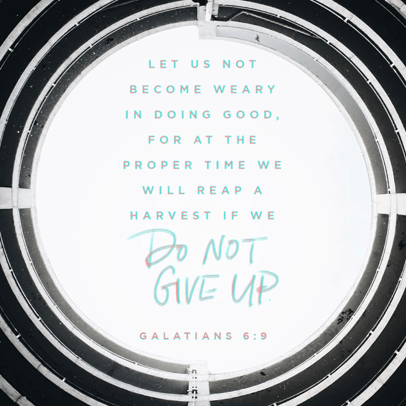 VOTD April 4 - “Let us not lose heart in doing good, for in due time we will reap if we do not grow weary.” ‭‭Galatians‬ ‭6:9‬ ‭NASB‬‬