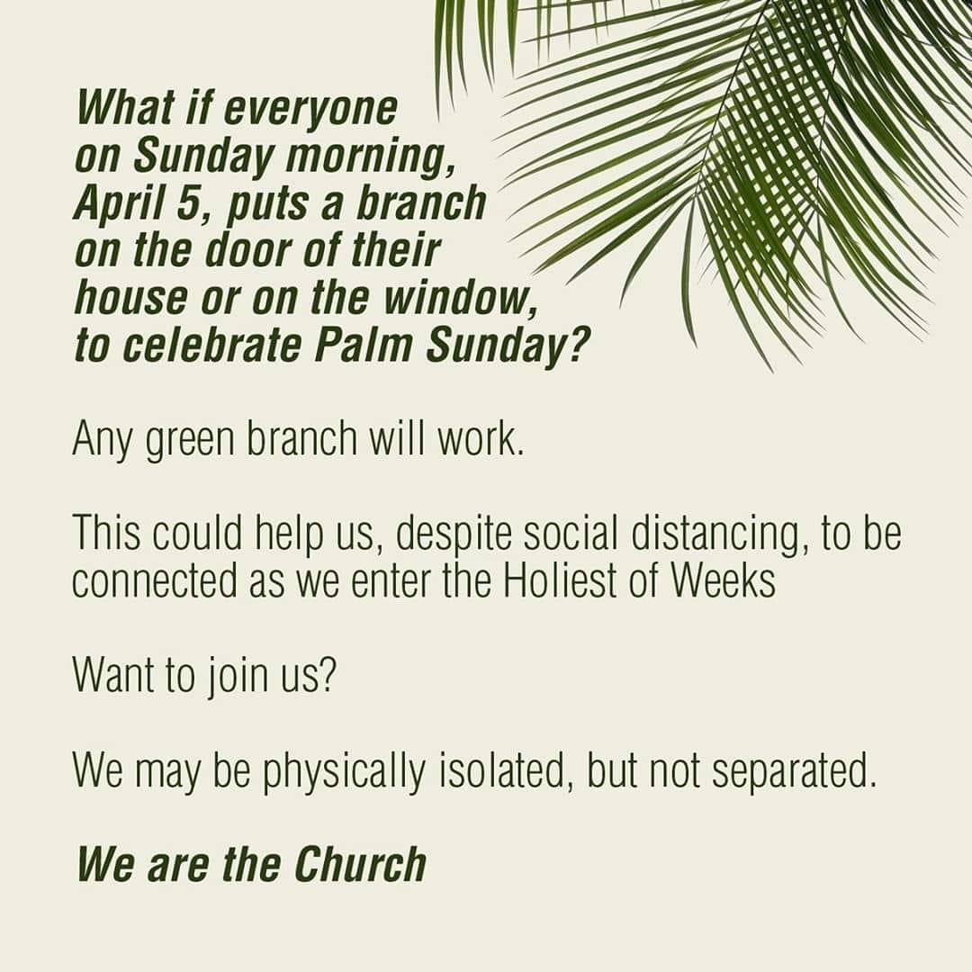 Green Branch on your door for Palm Sunday - since we are quarantined, on a stay at home or shelter at home orders due to COVID-19, here is an idea for Palm Sunday. #PalmSunday