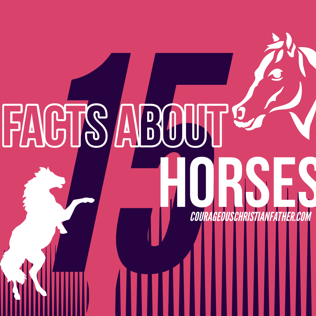 15 facts about horses - Horses are majestic and fascinating animals, and these 15 interesting facts show just how incredible these beautiful animals are.