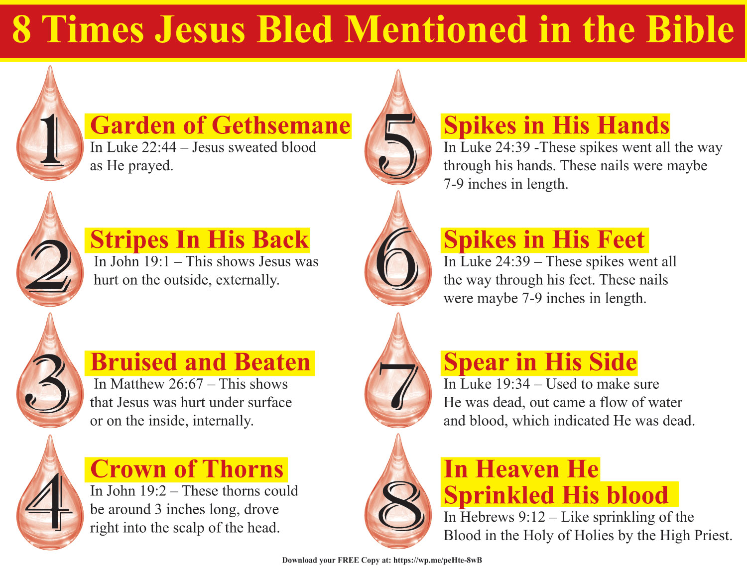 8 Times Jesus bled mentioned in the Bible - Did you know there are eight times mentioned in the Bible where Jesus shed his blood. Includes a free printable version!