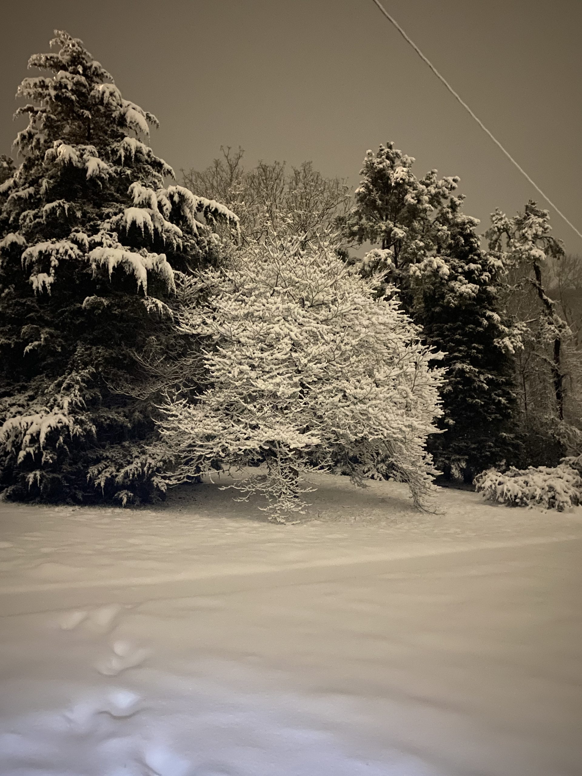 We had a White Christmas in East Tennessee