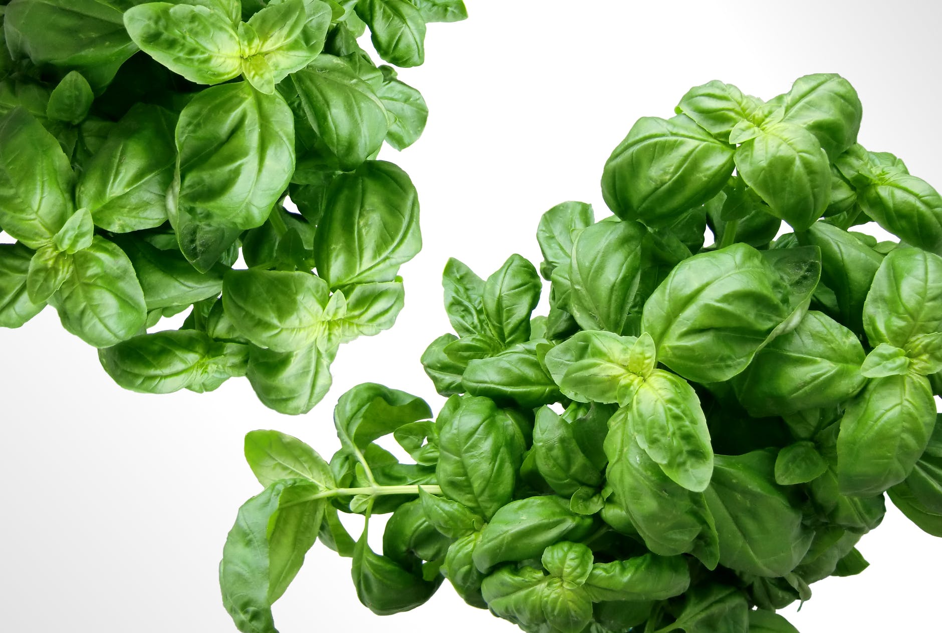 Fresh herbs that can reduce your reliance on sodium - The AHA notes that basil has a sweet and fresh flavor profile and is best added to a dish right before serving. Freshly cut basil leaves can be added to any number of dishes, including tomato sauces, pastas, salads, pizzas, and eggs. Photo by Pixabay Pexels