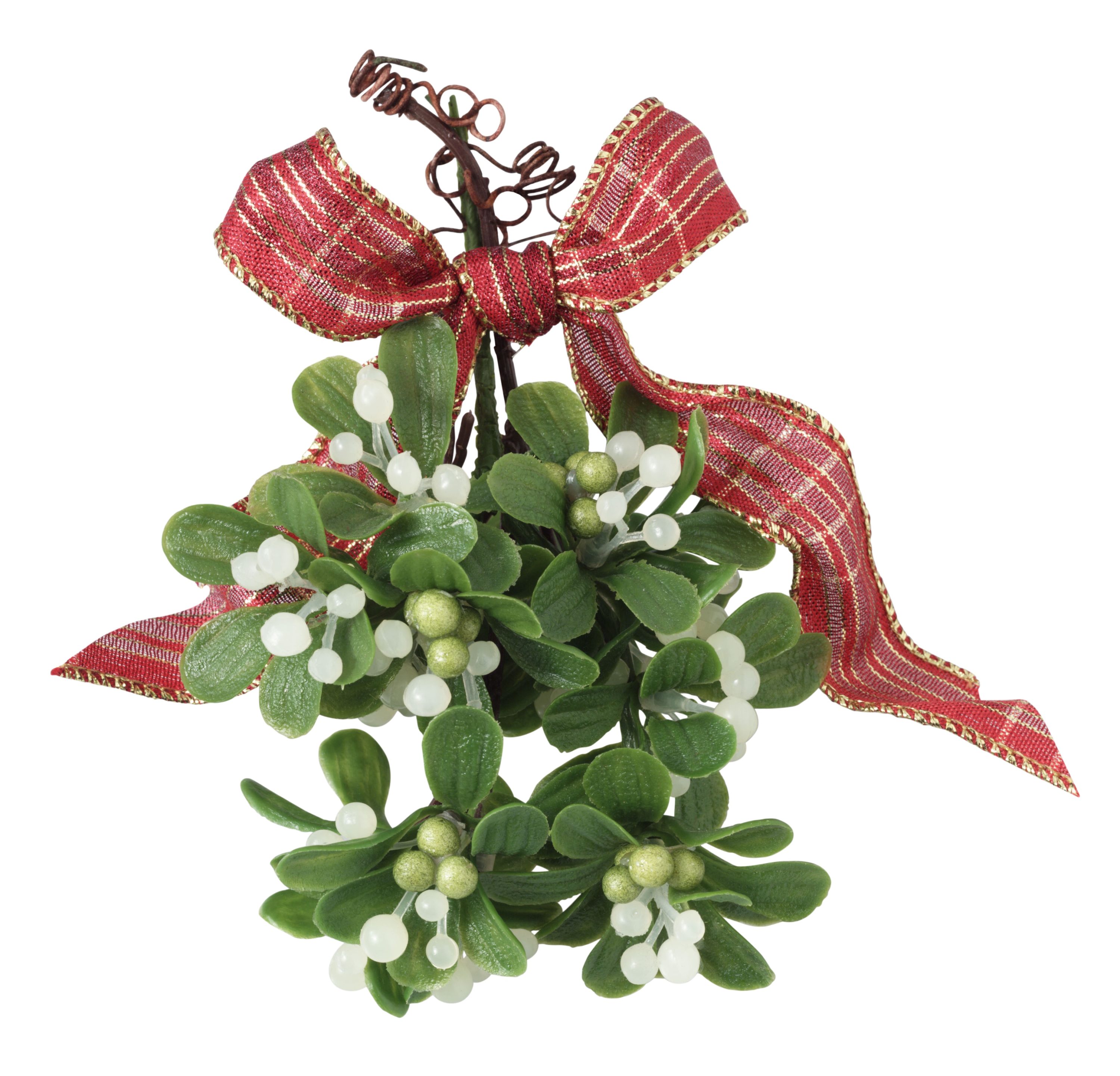 Mistletoe - What exactly is this iconic Christmas Symbol that is also associated with kissing during the Christmas Season? #Mistletoe