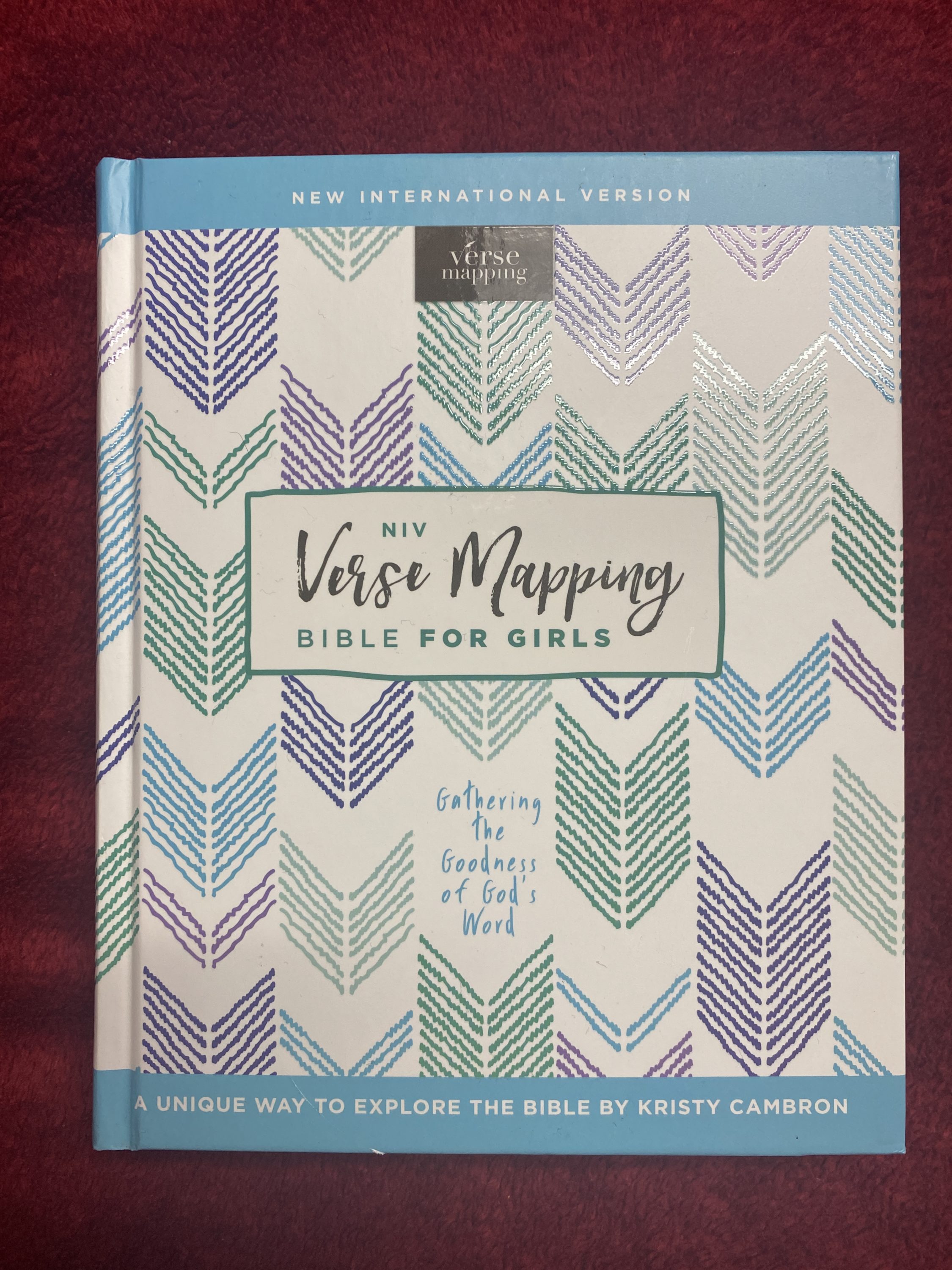 Verse Mapping Bible for Girls Review - This is a review of the NIV Verse Mapping Bible for Girls. Gathering the Goodness of God's Word. A Unique Way to Explore the Bible by Kristy Cambron. #VerseMapping #bgbg2