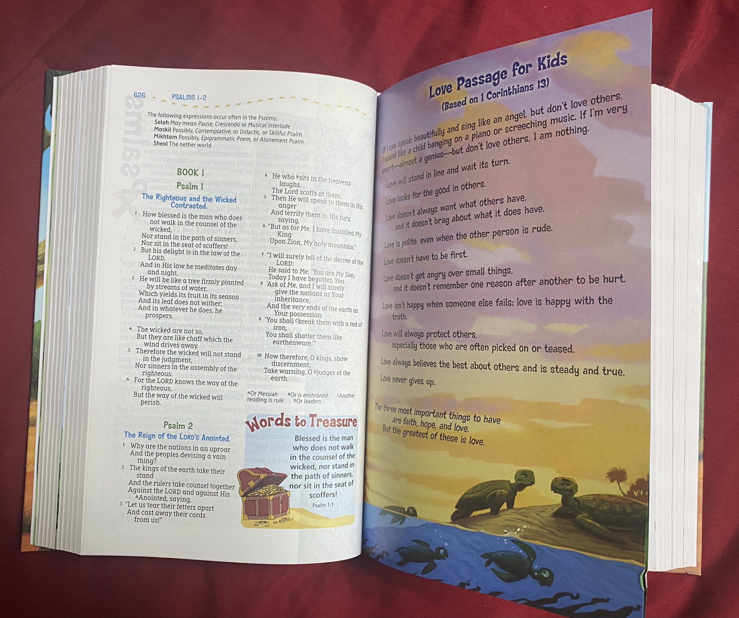 The Adventure Bible For Kids Review I got to review this Bible for kids. #Bible #AdventureBible #bgbg2 #BibleGatewayPartner