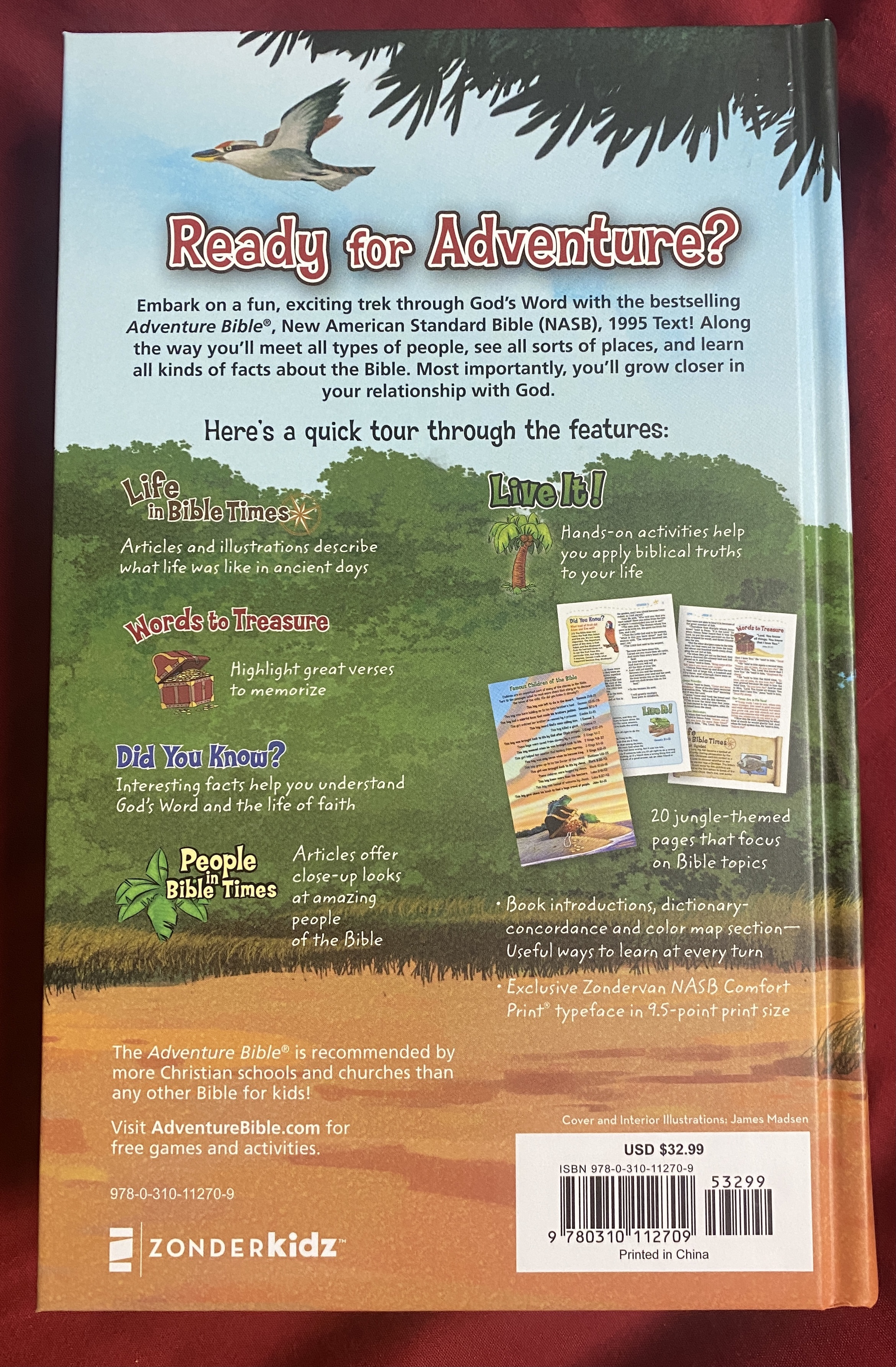 The Adventure Bible For Kids Review I got to review this Bible for kids. #Bible #AdventureBible #bgbg2 #BibleGatewayPartner