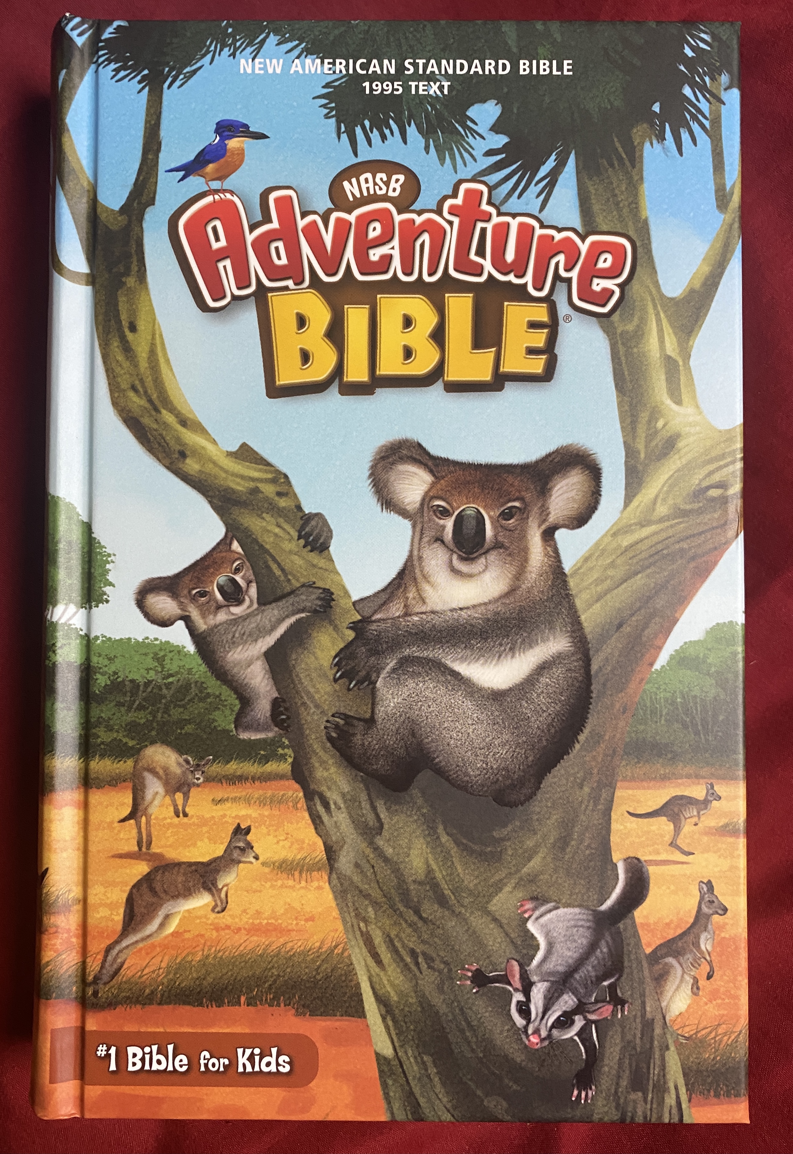 The Adventure Bible For Kids Review I got to review this Bible for kids. #Bible #AdventureBible #bgbg2 #BibleGatewayPartner