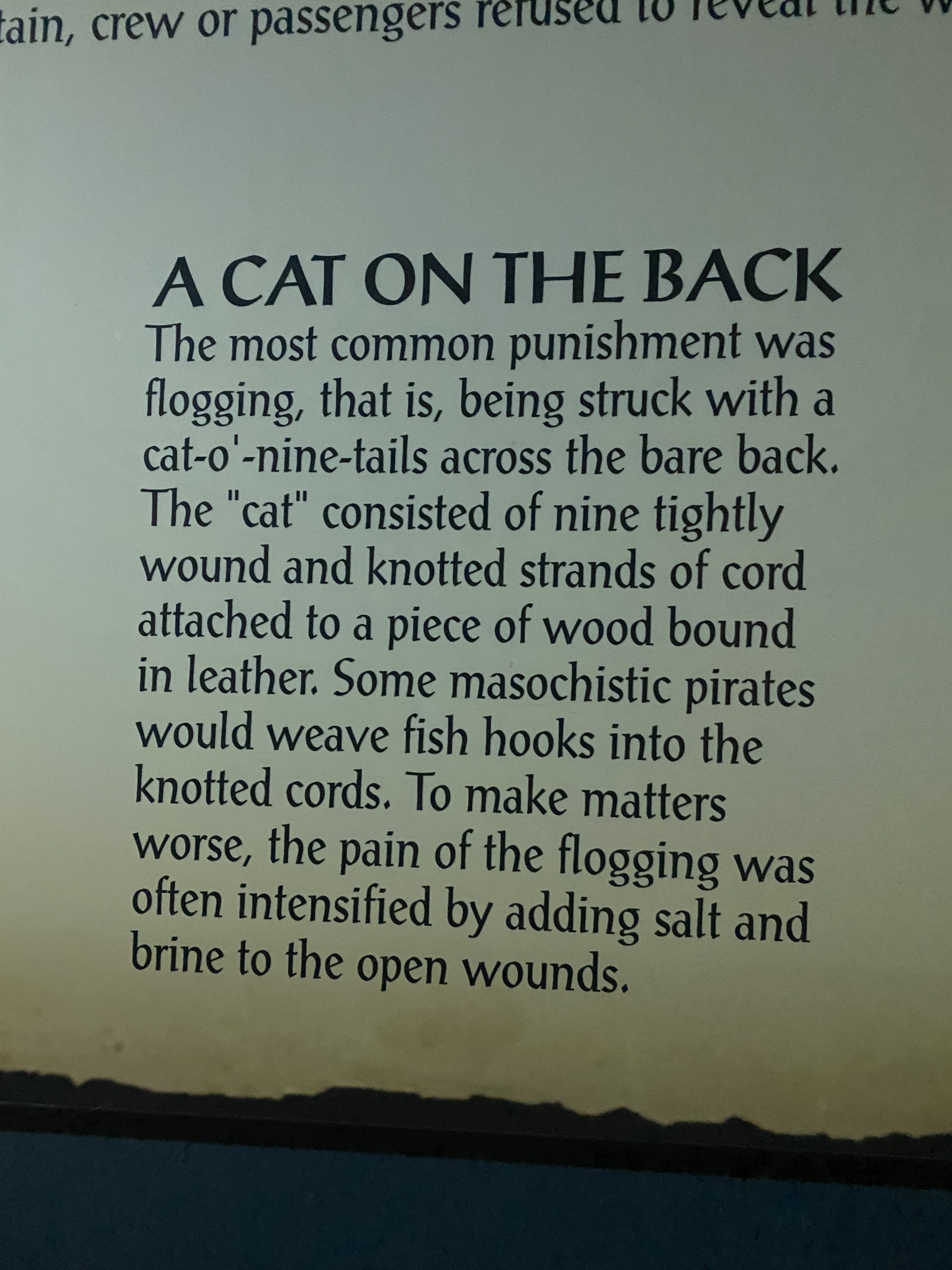 Pirates used a Cat-O-Nine-Tails as punishment - This is similar punishment that Jesus Christ was flogged with. It has often also has been called “A Cat on the Back” (Ten lashes, Nine Tails).  #Pirates #PiratesMuseum #CatONineTails #Flogging