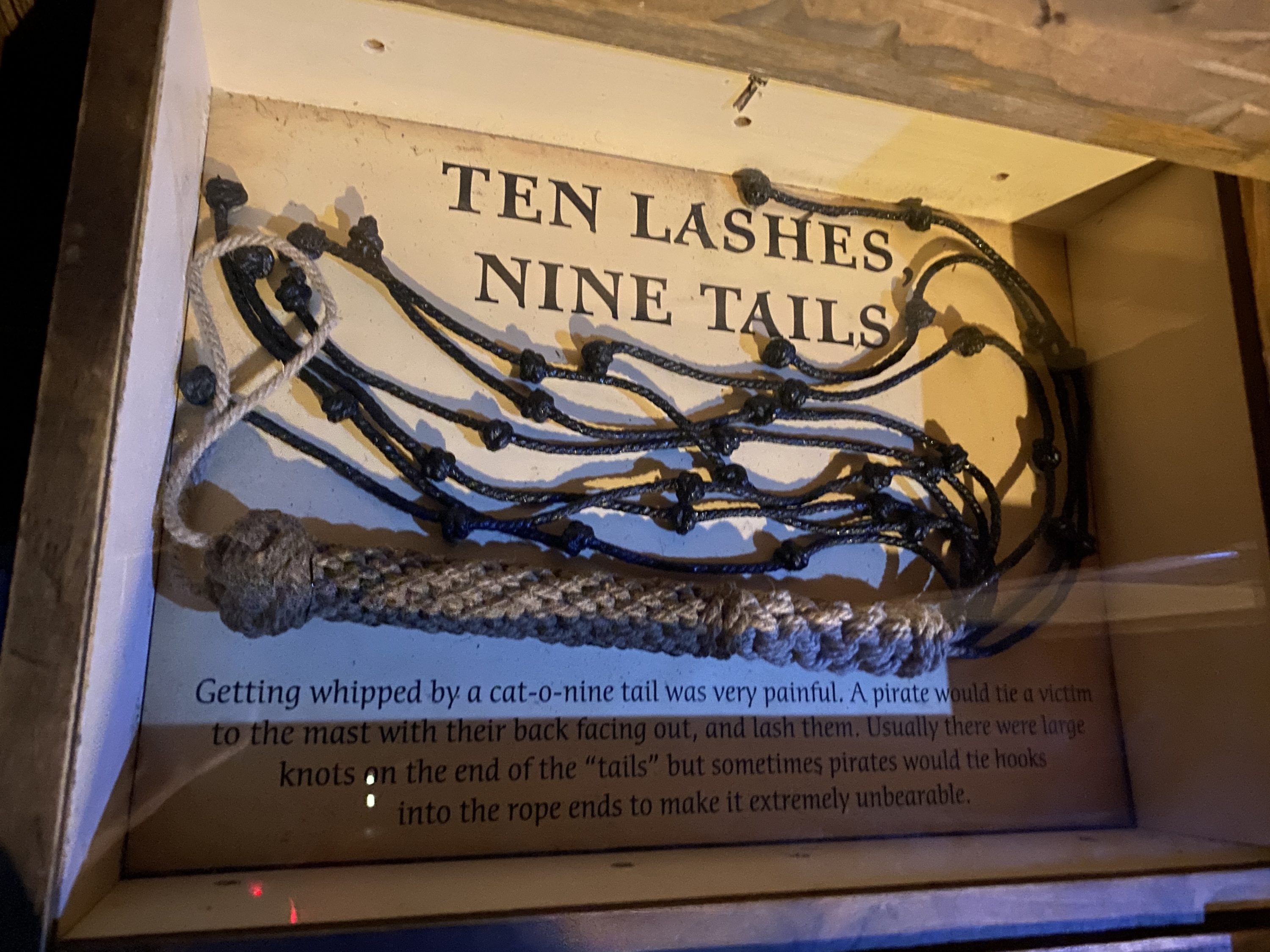 Pirates used a Cat-O-Nine-Tails as punishment - This is similar punishment that Jesus Christ was flogged with. It has often also has been called “A Cat on the Back” (Ten lashes, Nine Tails).  #Pirates #PiratesMuseum #CatONineTails #Flogging #bgbg2