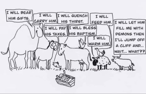 Poor little piggy a cute comic about animals and what they are saying they did for Jesus.