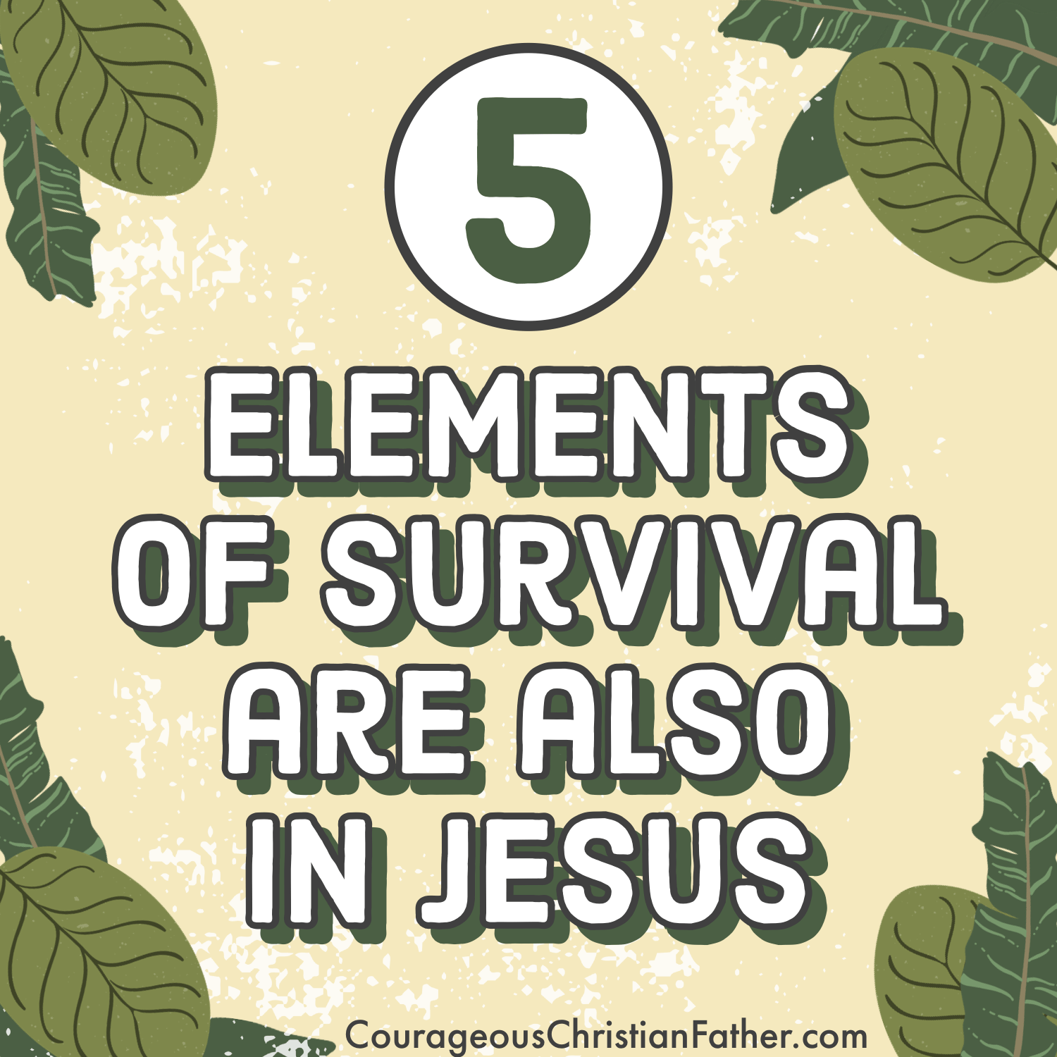 5 Elements of Survival are also in Jesus