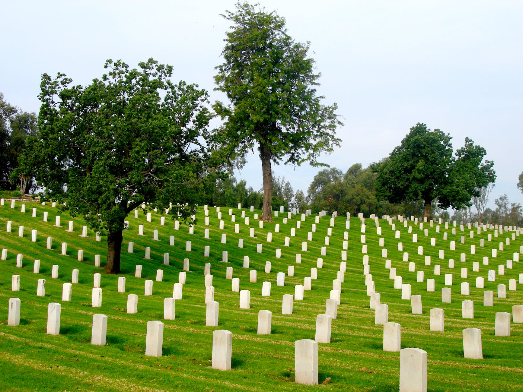 Cemetery vs Graveyard - they both hold the corpse of dead people in the ground. So what is the difference between the two? #cemetery #graveyard 