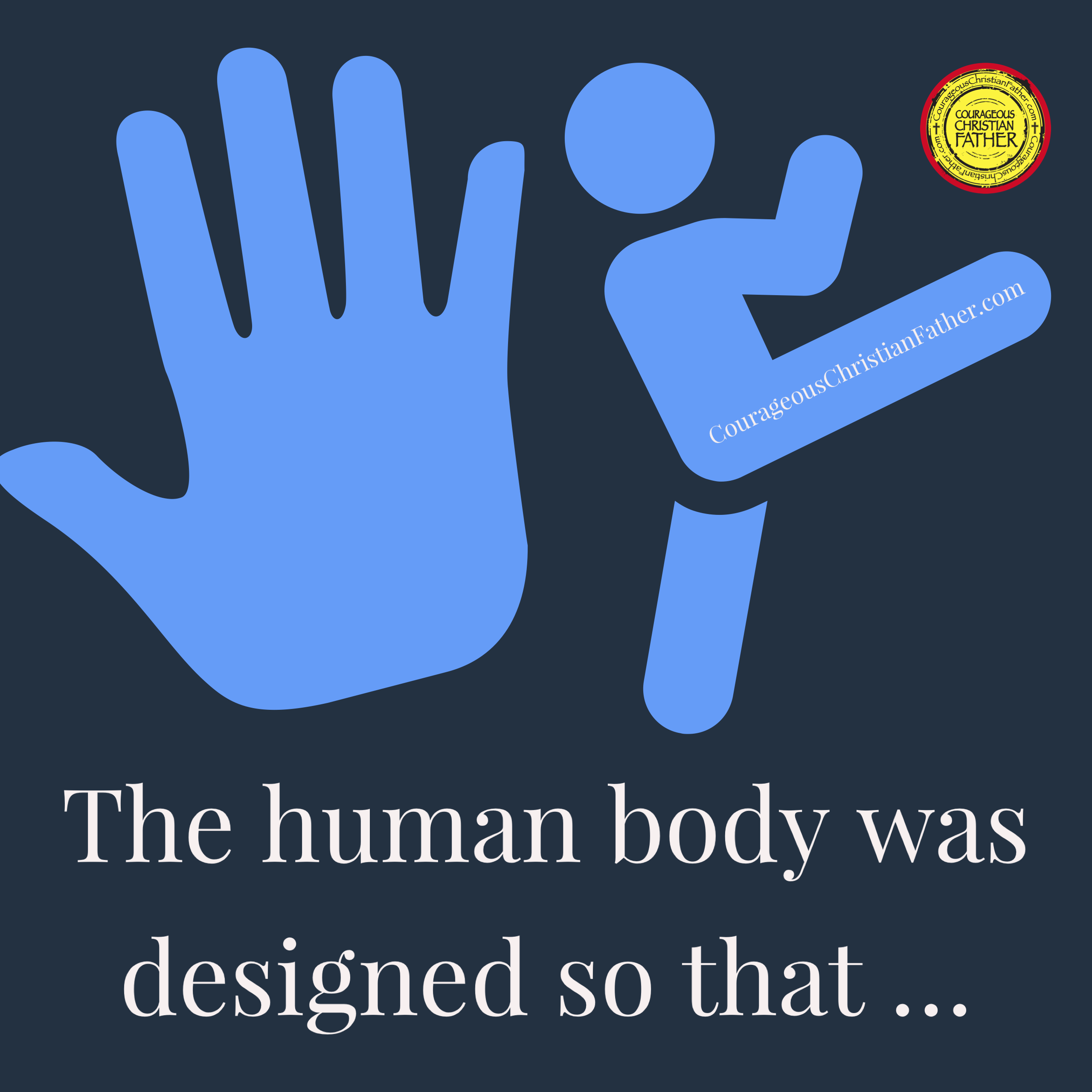 The human body was designed so that we can neither pat our own backs nor kick ourselves too easily.