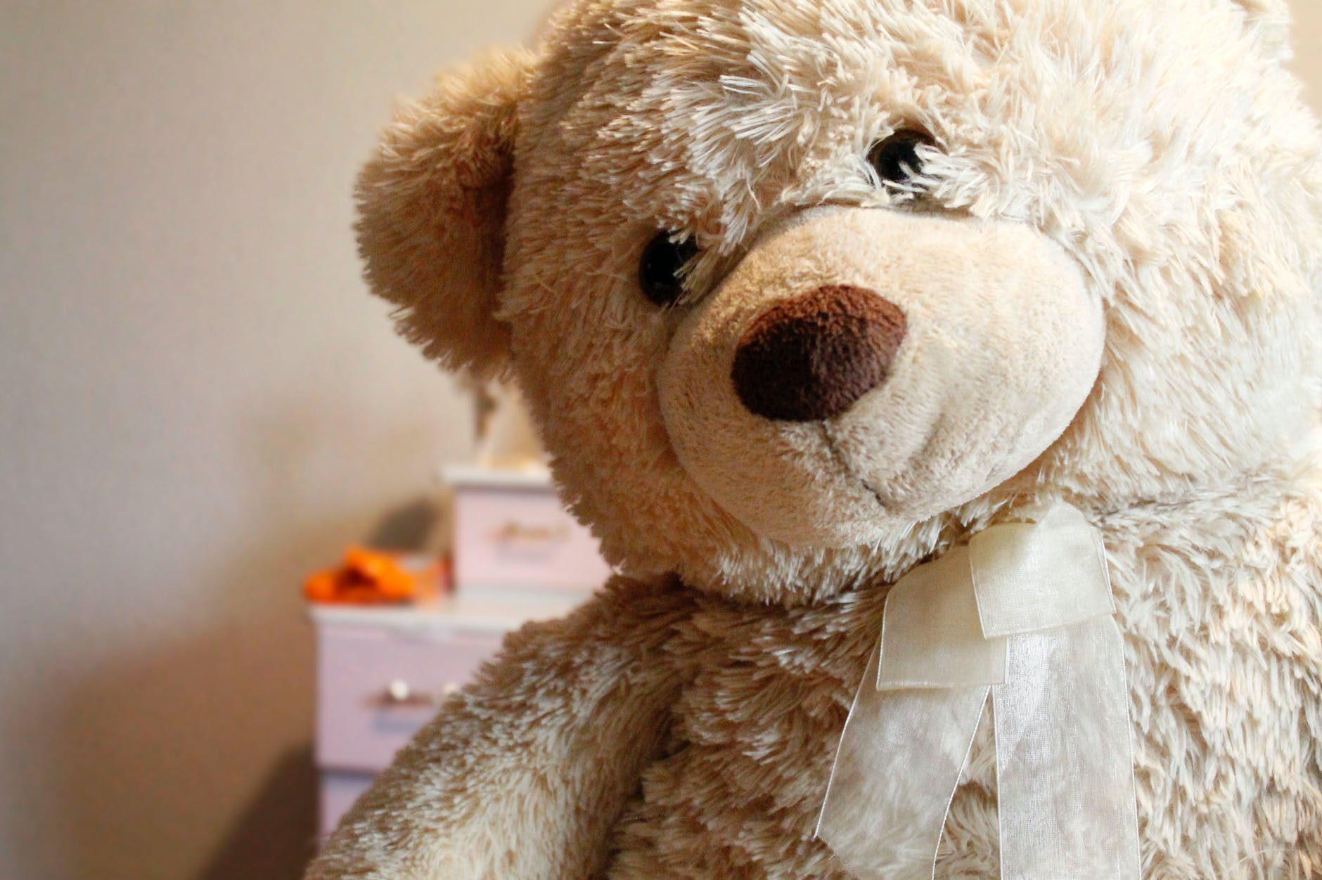 Teddy Day