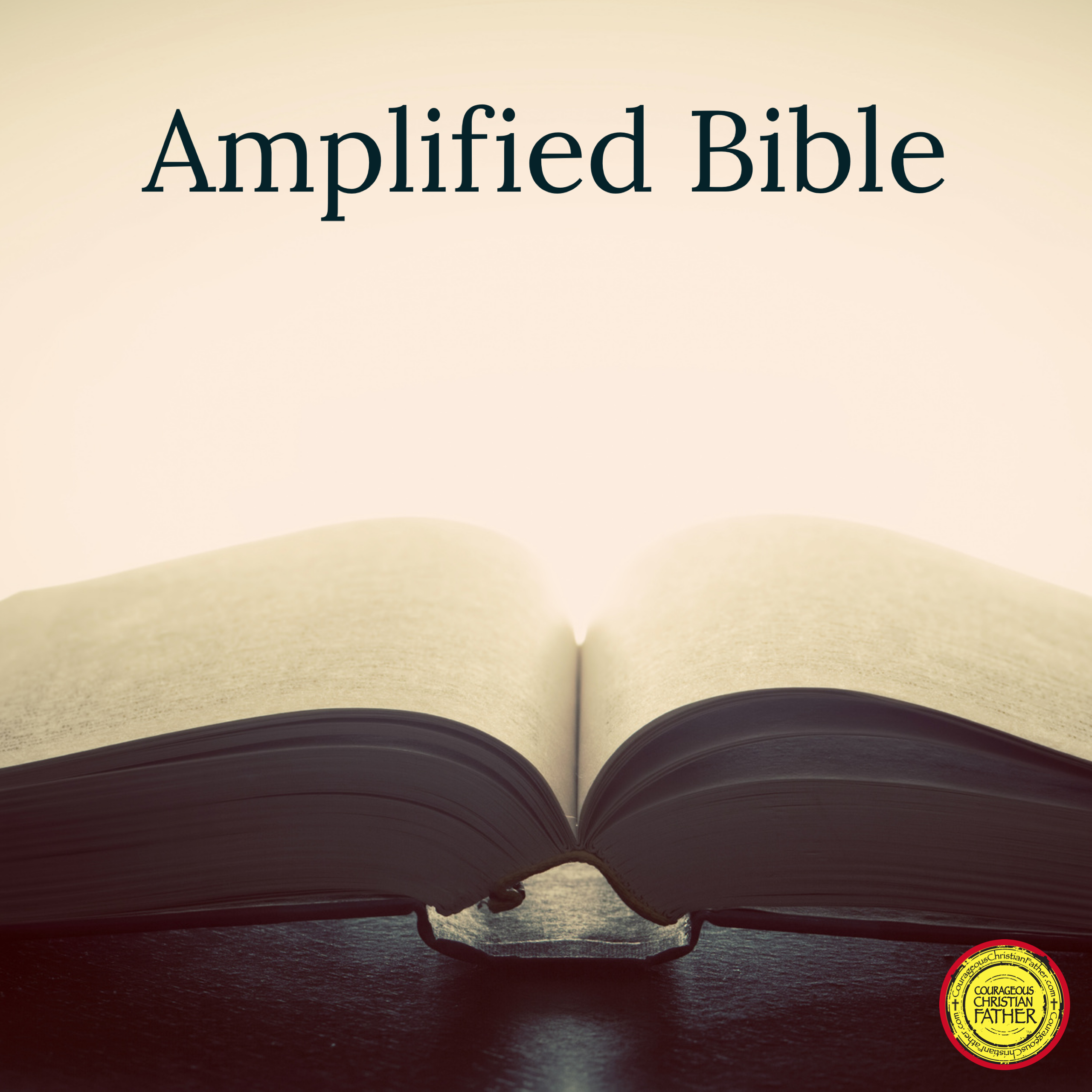 The Amplified Bible (AMP) is a translation of the Holy Bible that aims to enhance the understanding of the text by amplifying the meaning of words and phrases in the original languages. It was first published in 1965 by Zondervan Publishing House, and since then, it has become one of the most popular translations of the Bible worldwide. #AMP