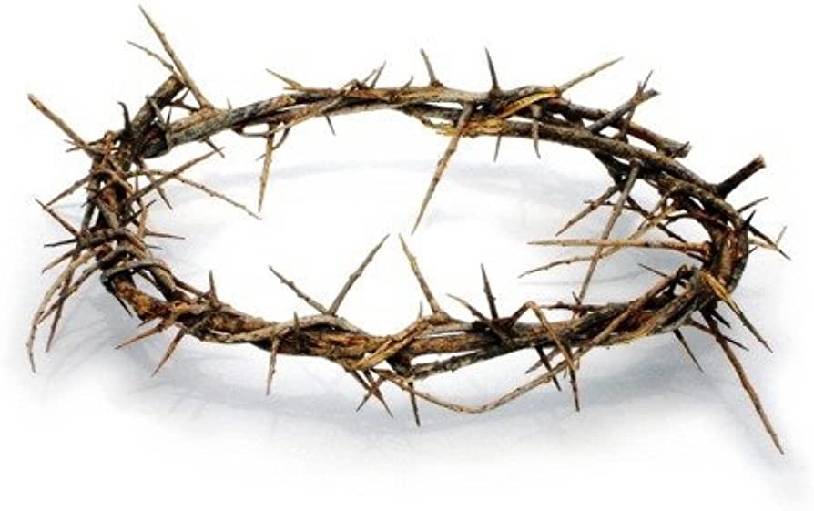 The Crown of Thorns: Unveiling the Story of a Symbolic Relic