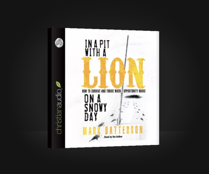 In a Pit with a Lion on a Snowy Day by Mark Batterson