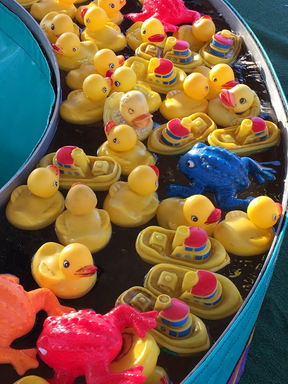 National Rubber Ducky Day