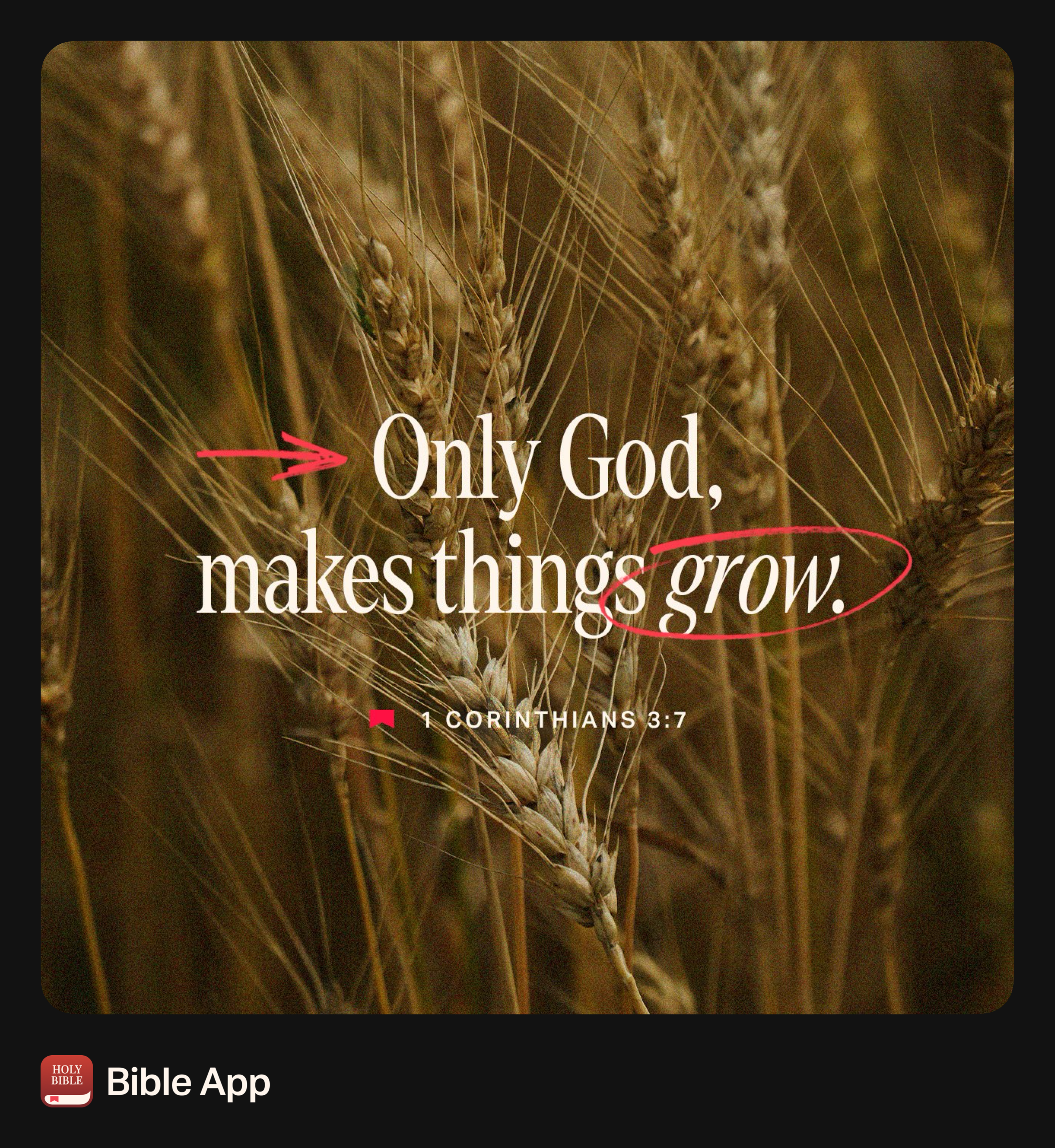 Only God Grows